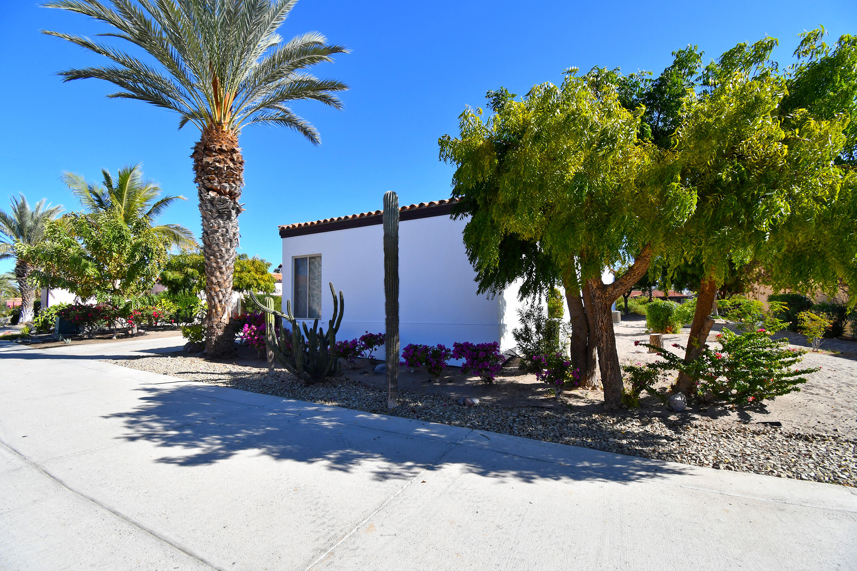 MLS #25-859 image #26