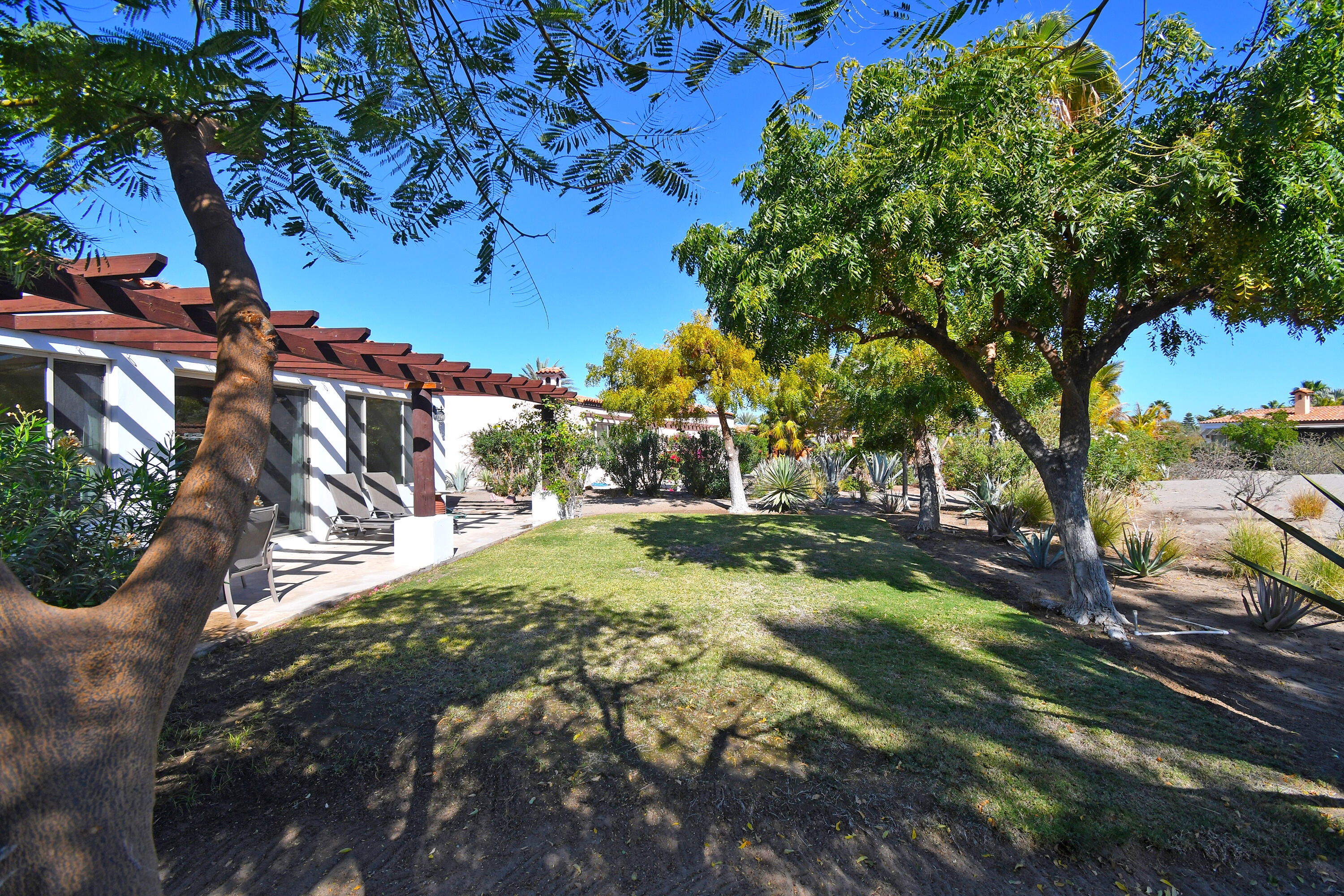 MLS #25-859 image #34