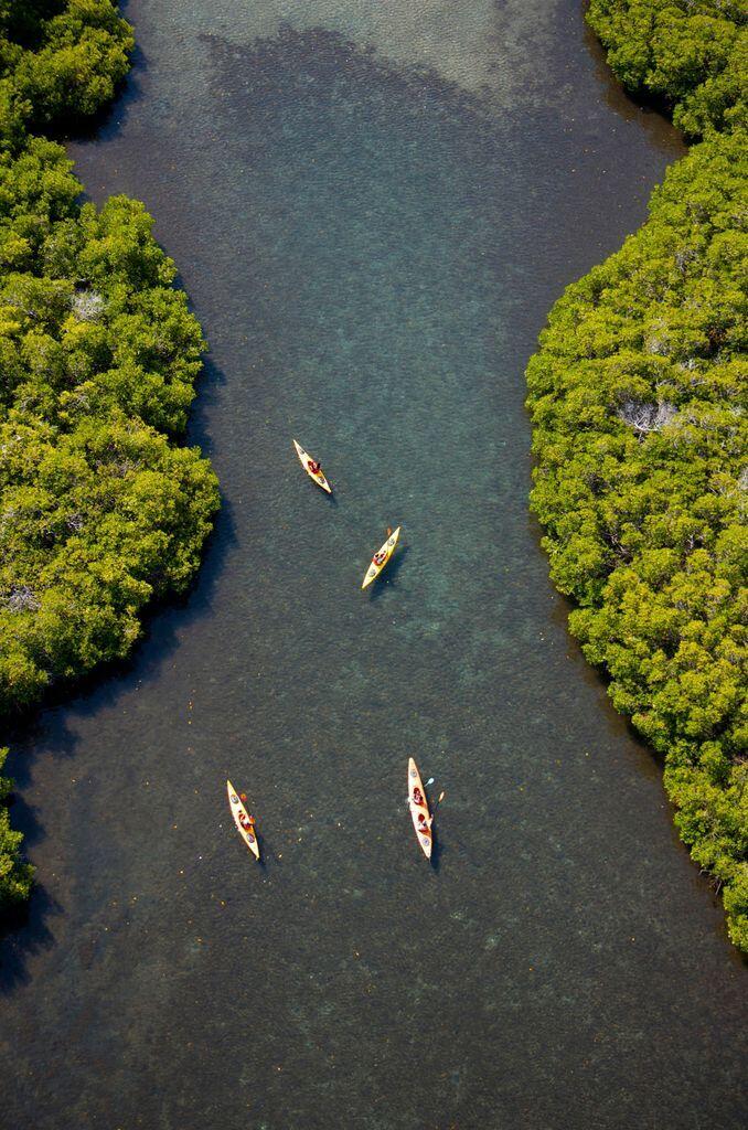 MLS #25-859 image #67