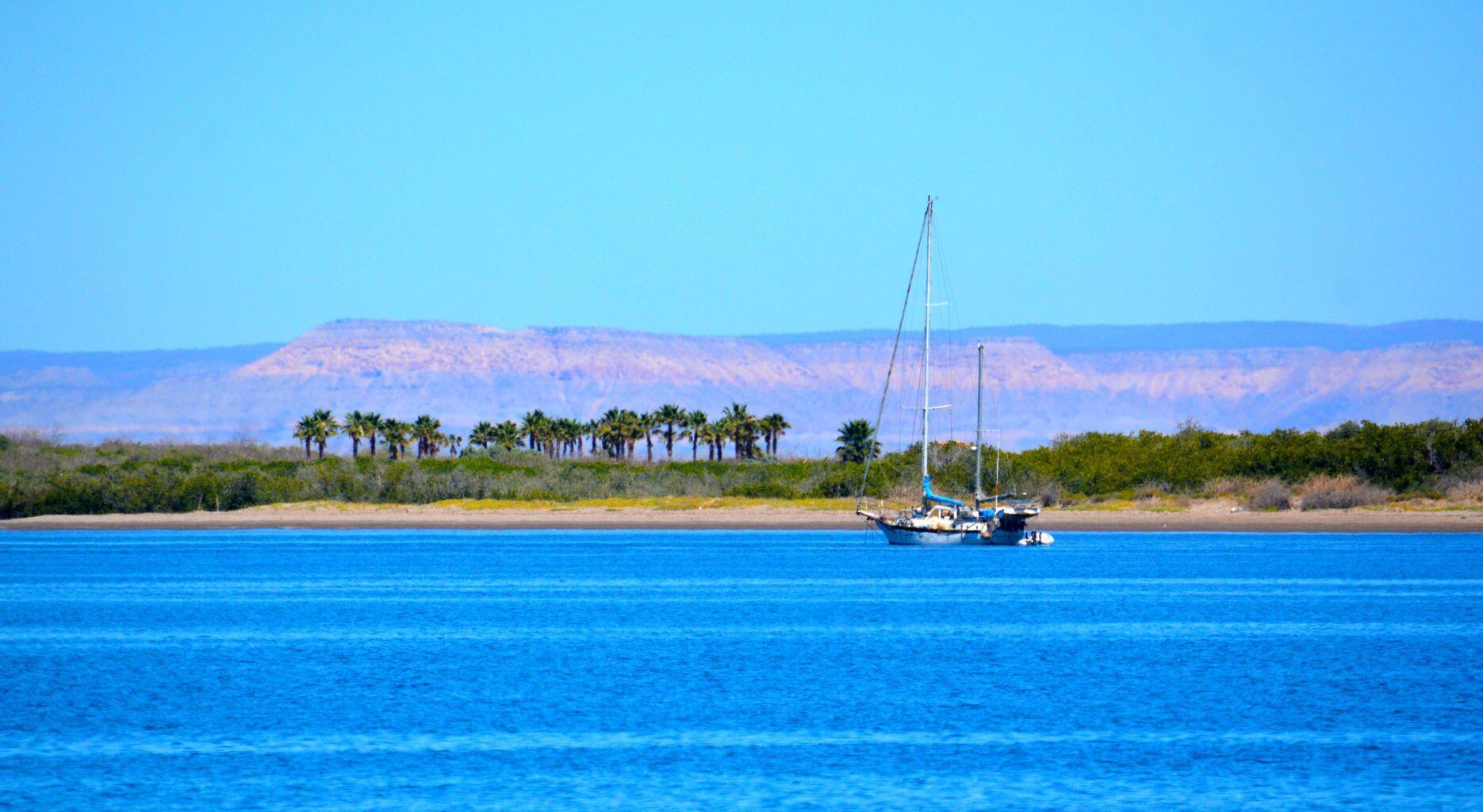 MLS #25-859 image #79