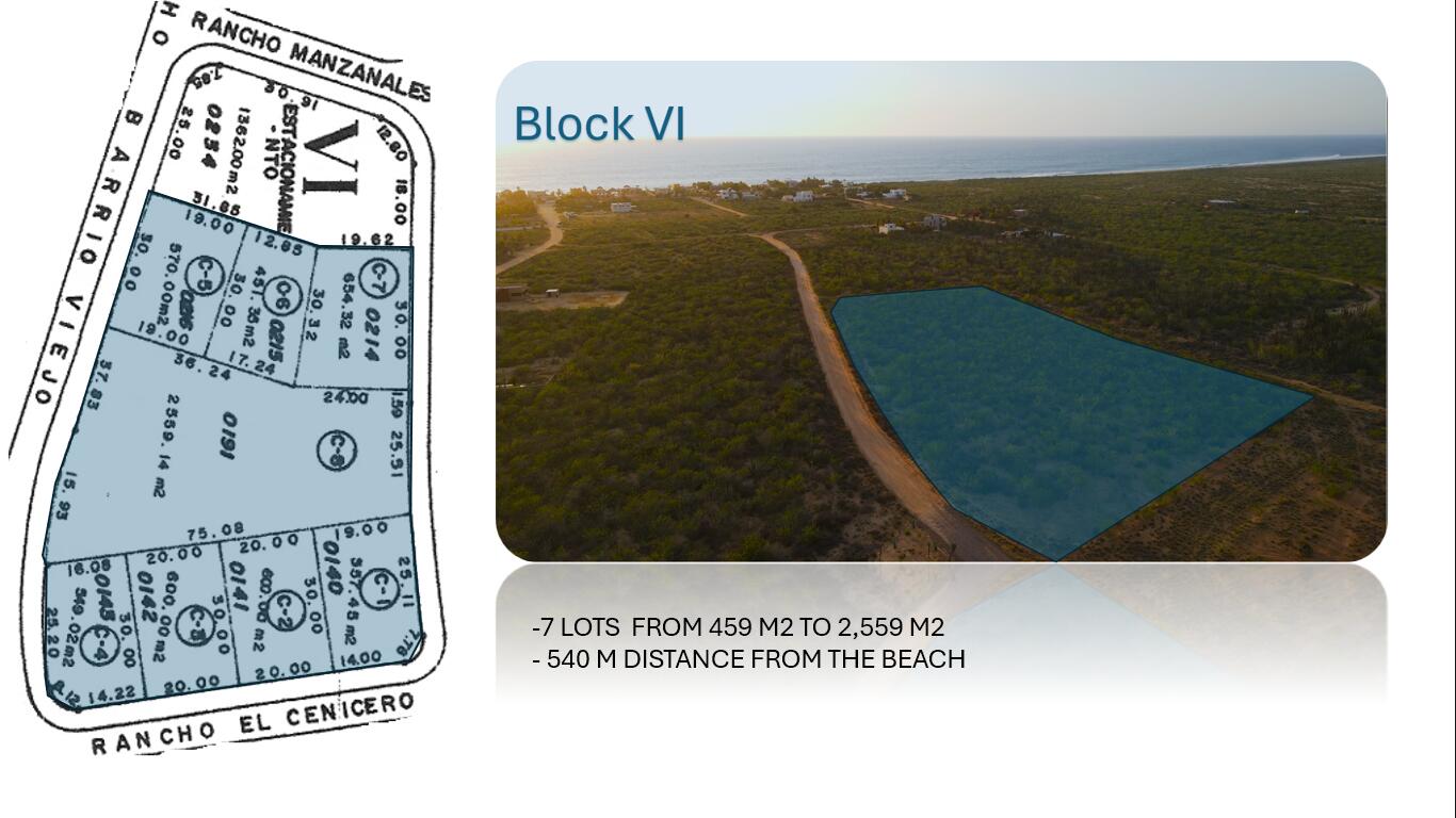 MLS #25-881 image #13