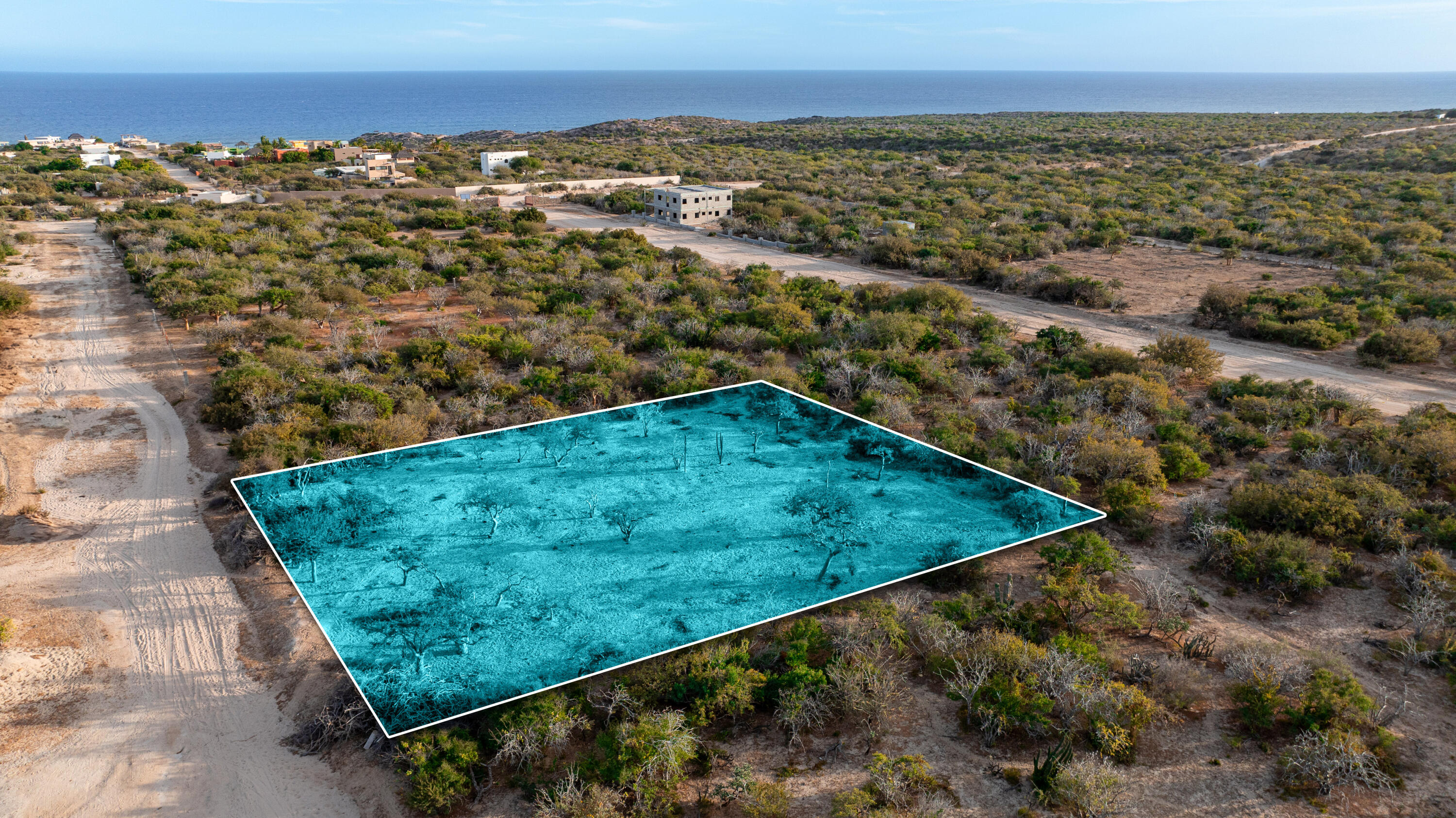 MLS #25-882 image #5