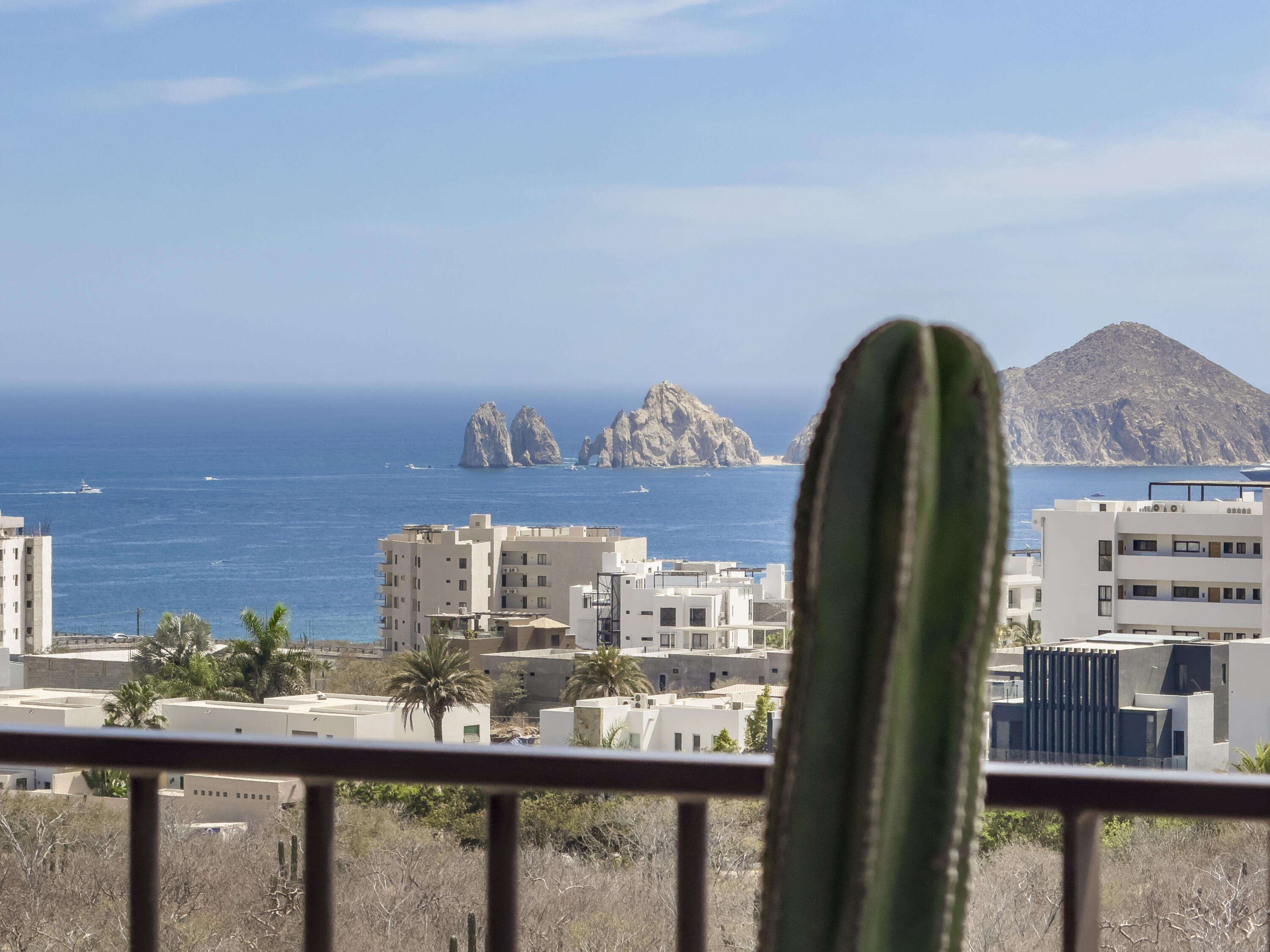 MLS #25-884 image #22