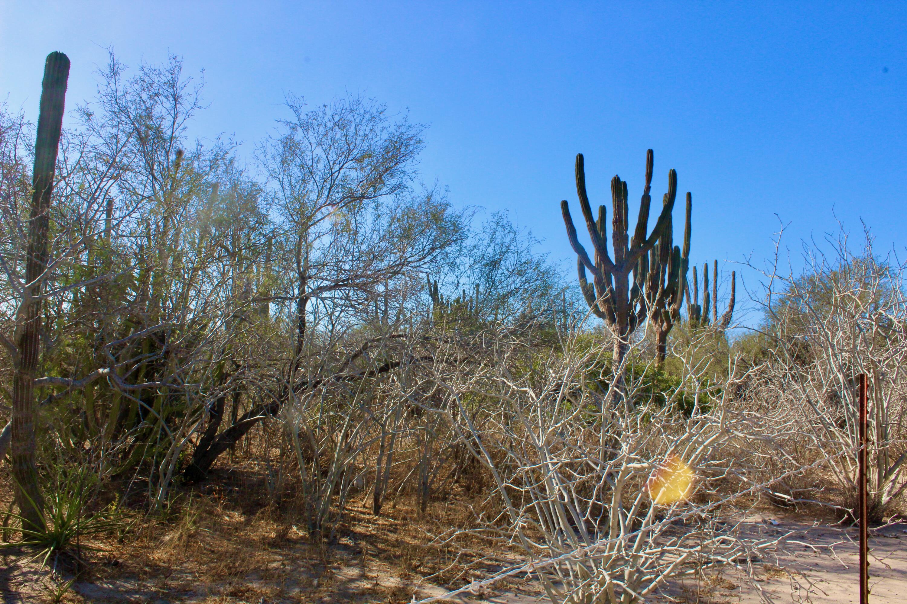 MLS #25-894 image #8