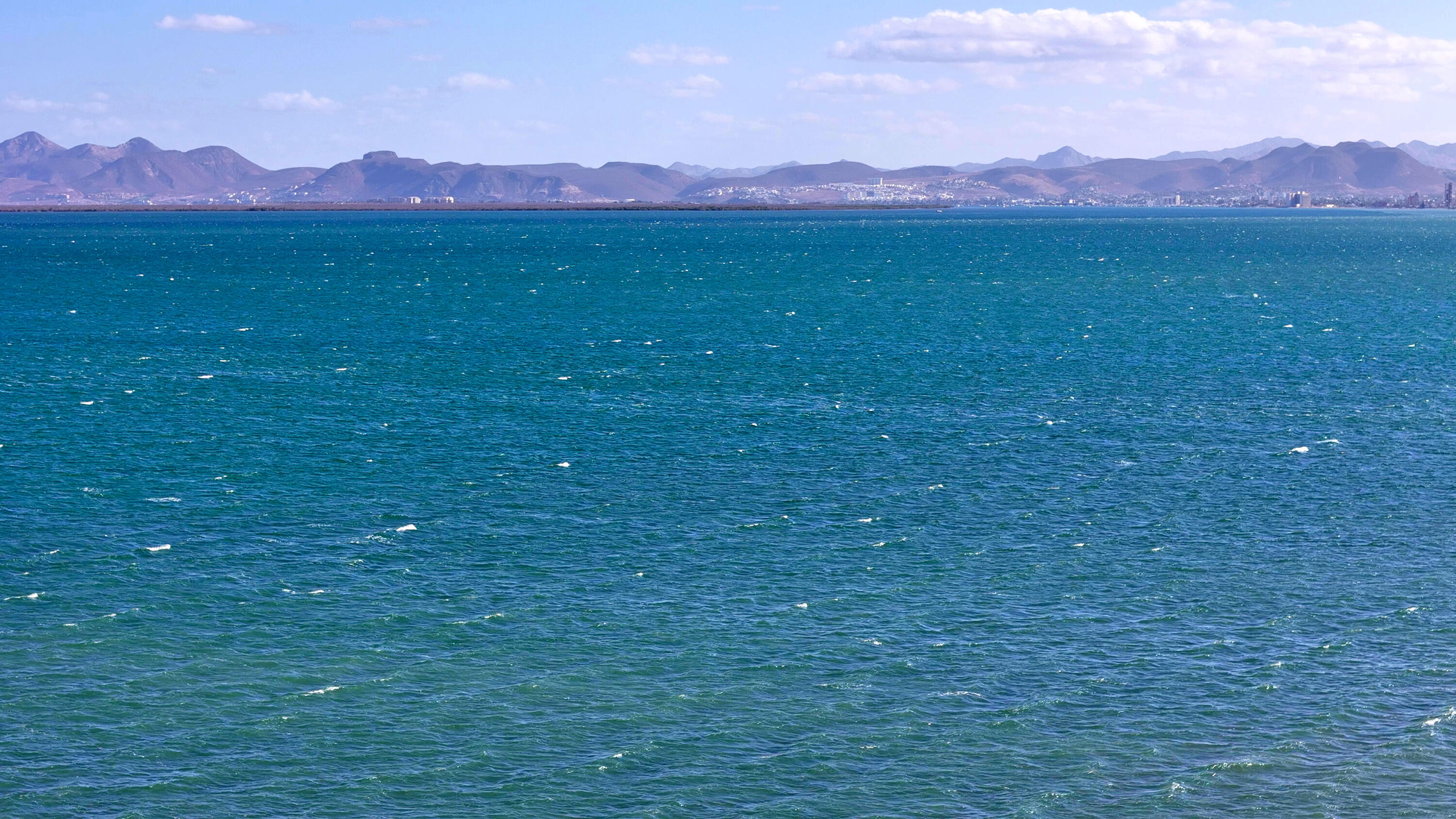 MLS #25-897 image #18