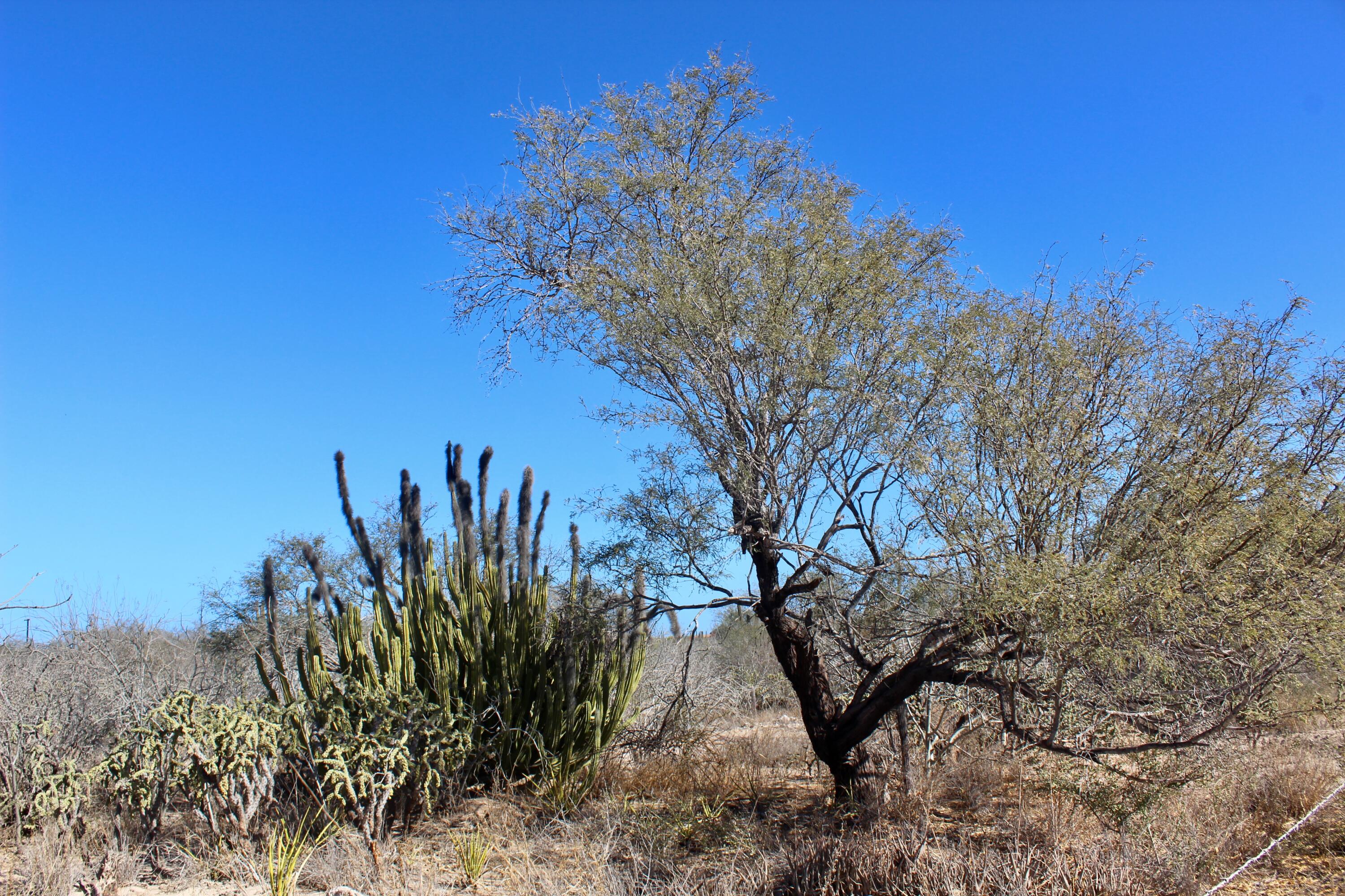 MLS #25-897 image #8