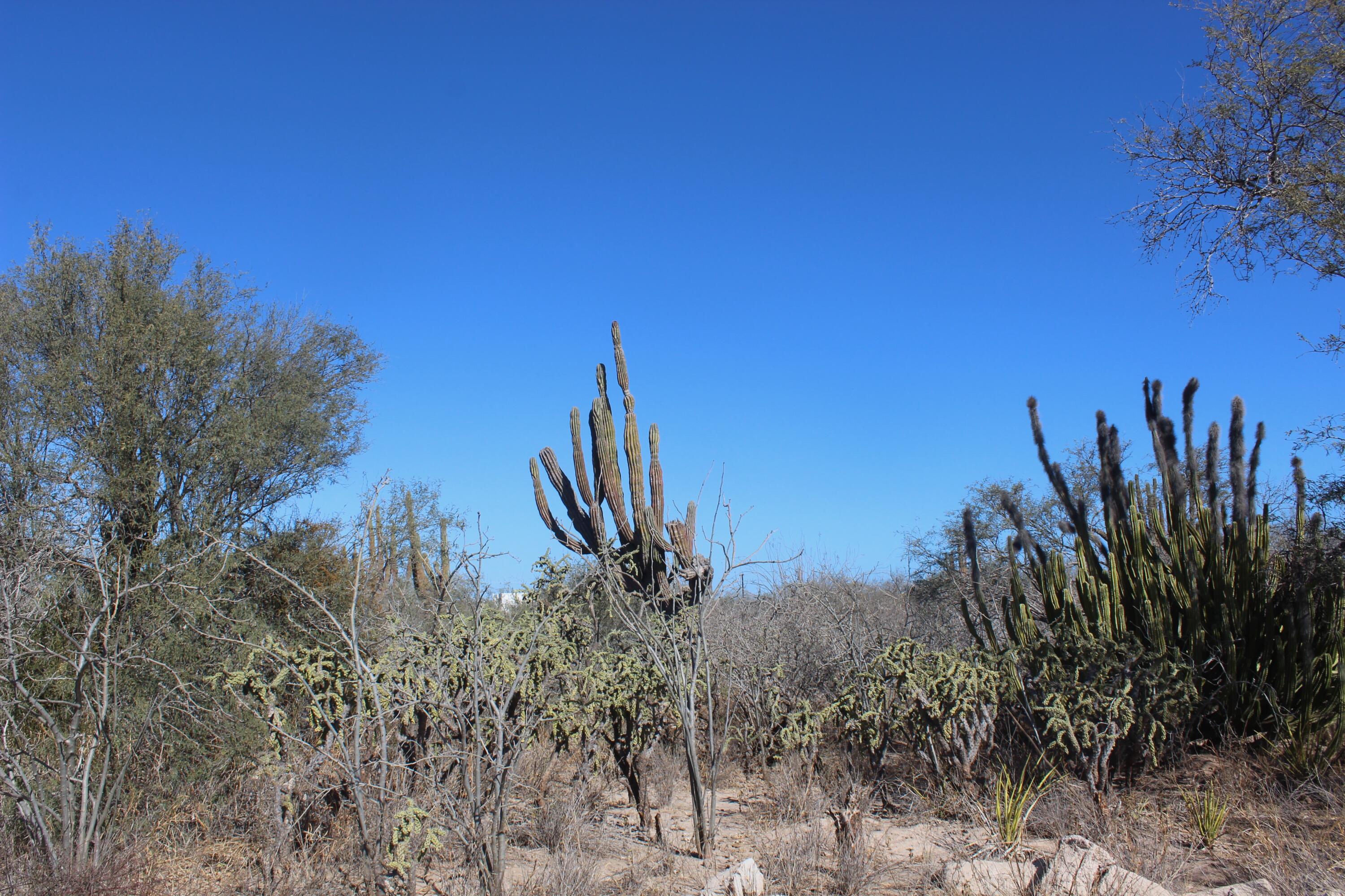 MLS #25-897 image #9