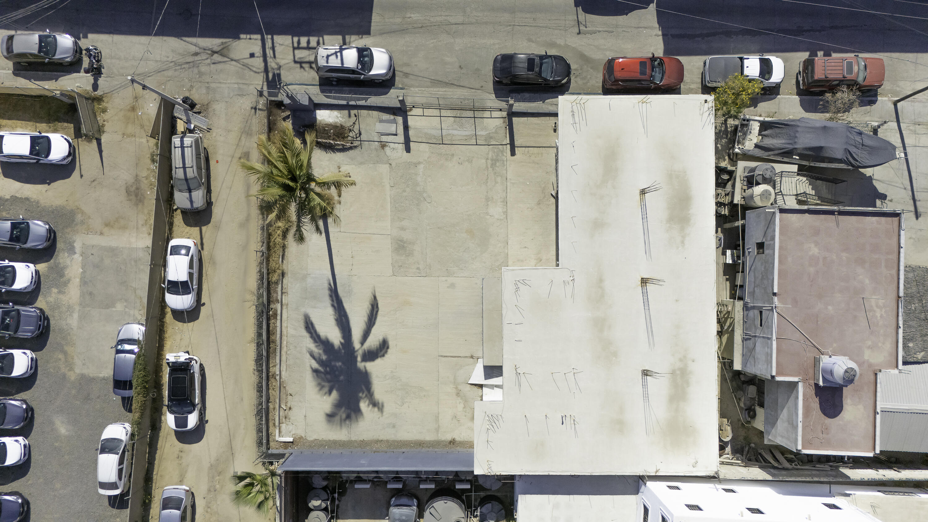 MLS #25-898 image #10