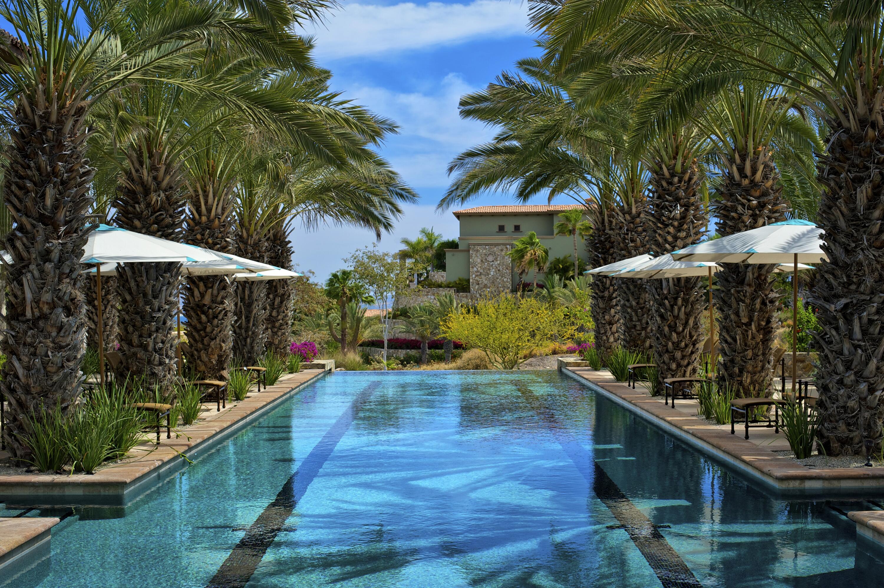 MLS #25-908 image #9