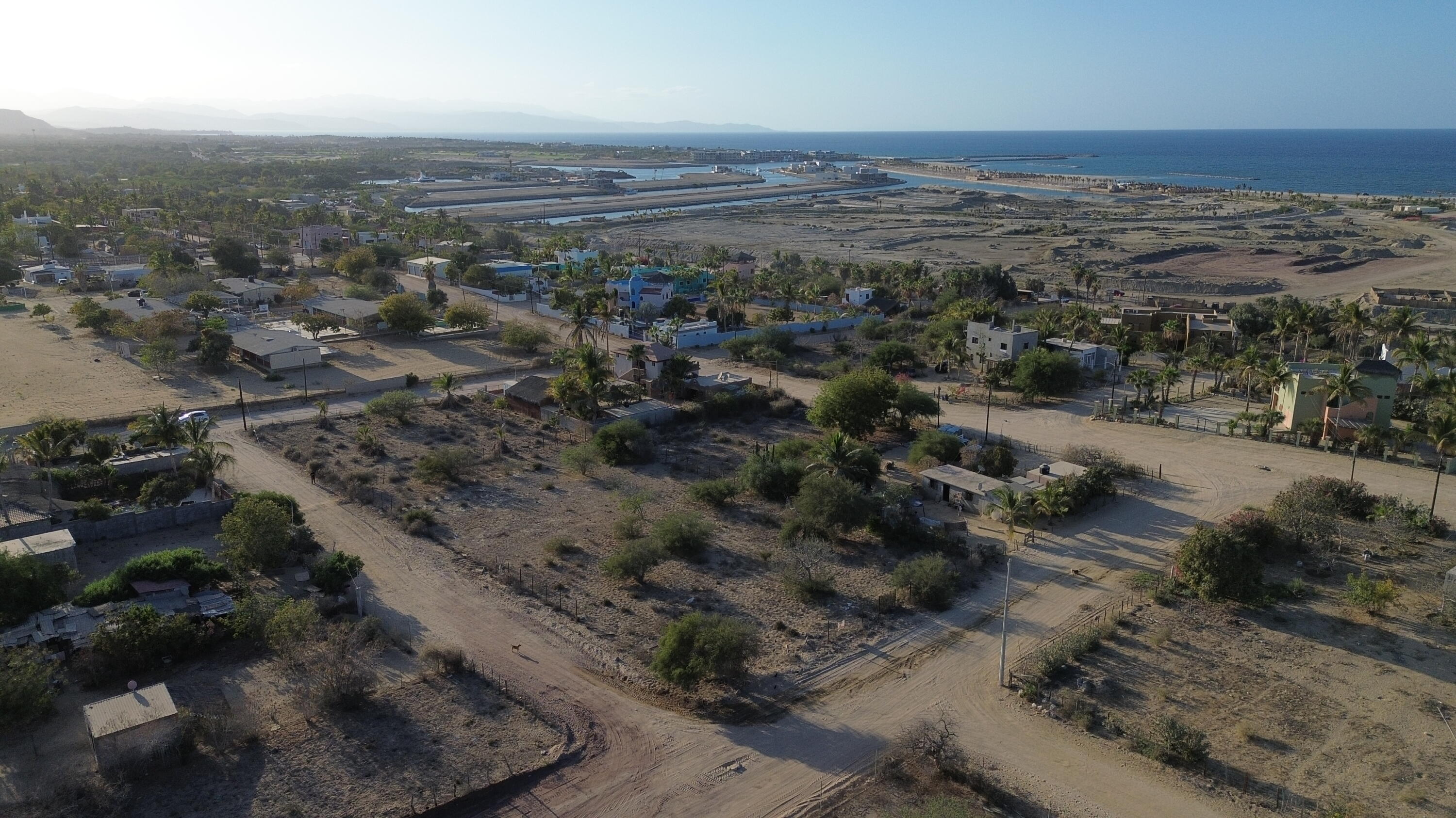 MLS #25-916 image #5