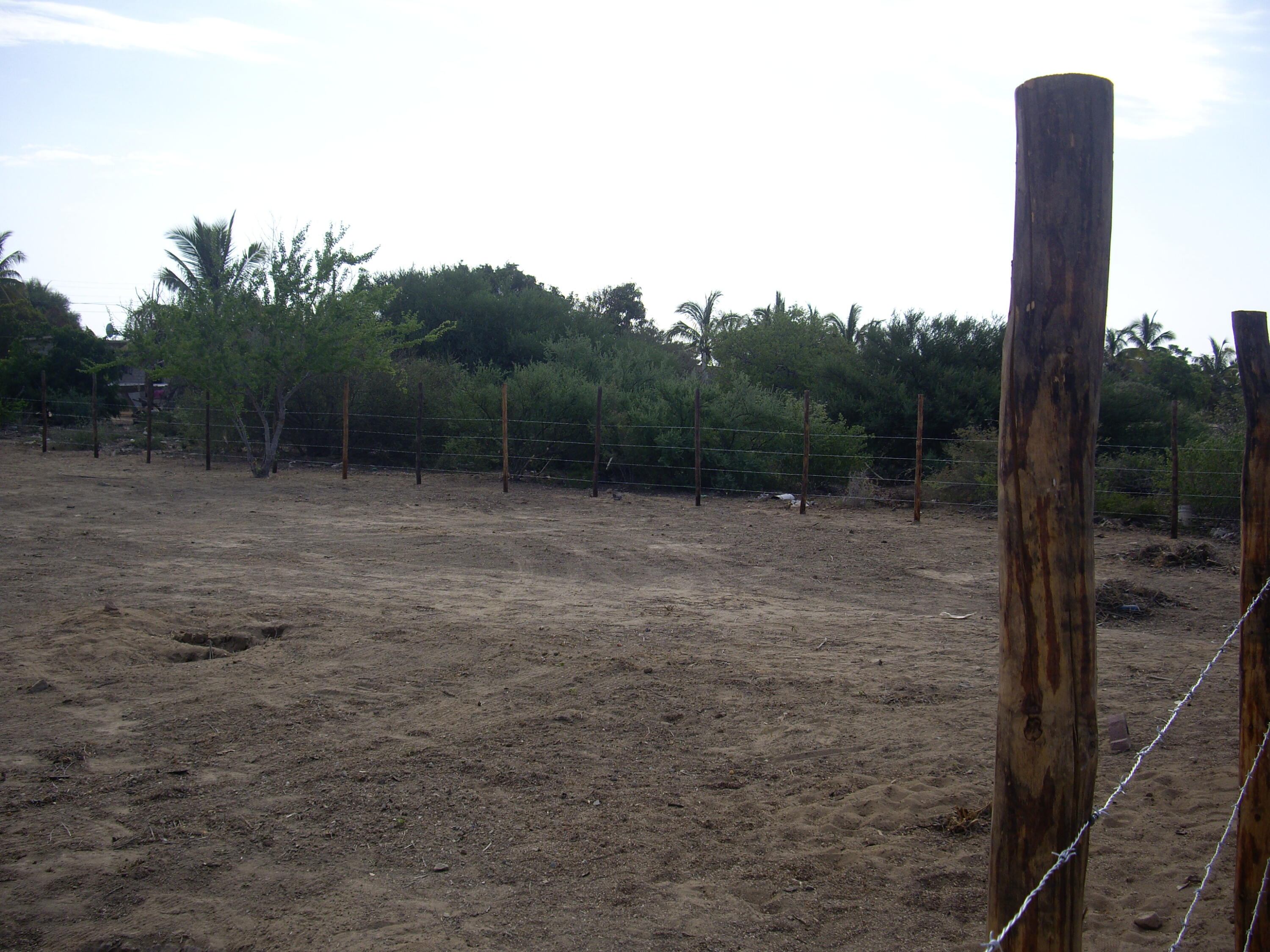 MLS #25-917 image #4