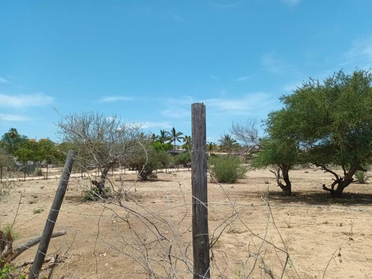 MLS #25-917 image #6