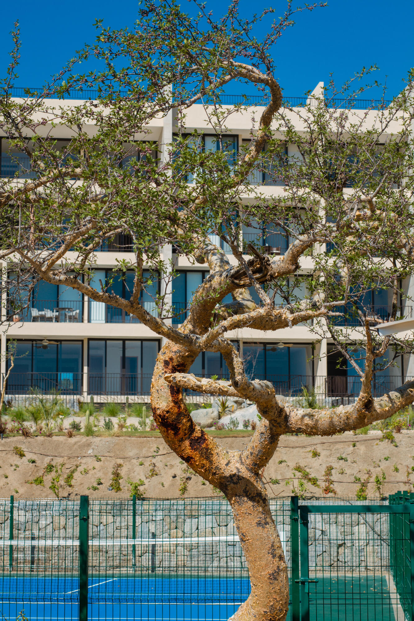 MLS #25-92 image #67