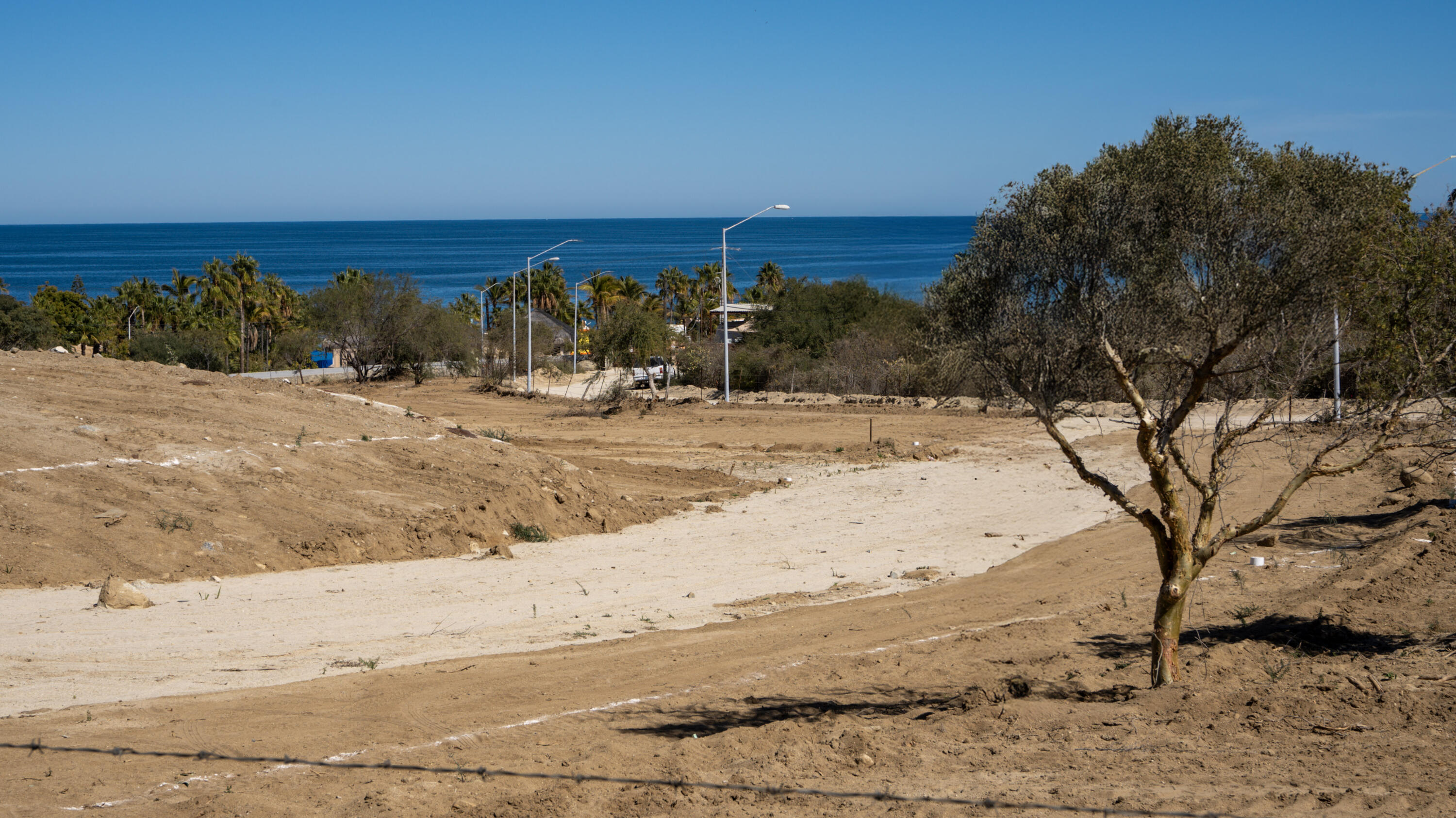 MLS #25-923 image #3