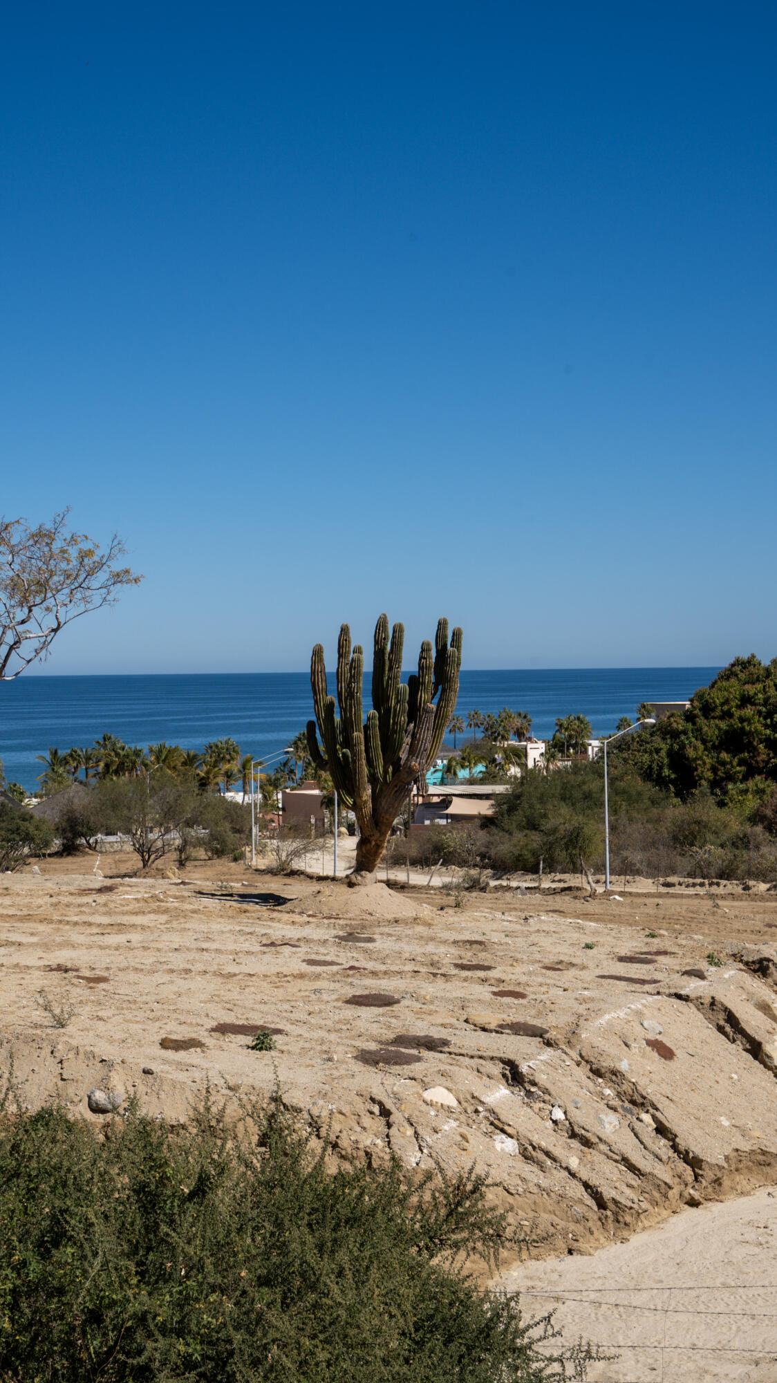 MLS #25-923 image #5