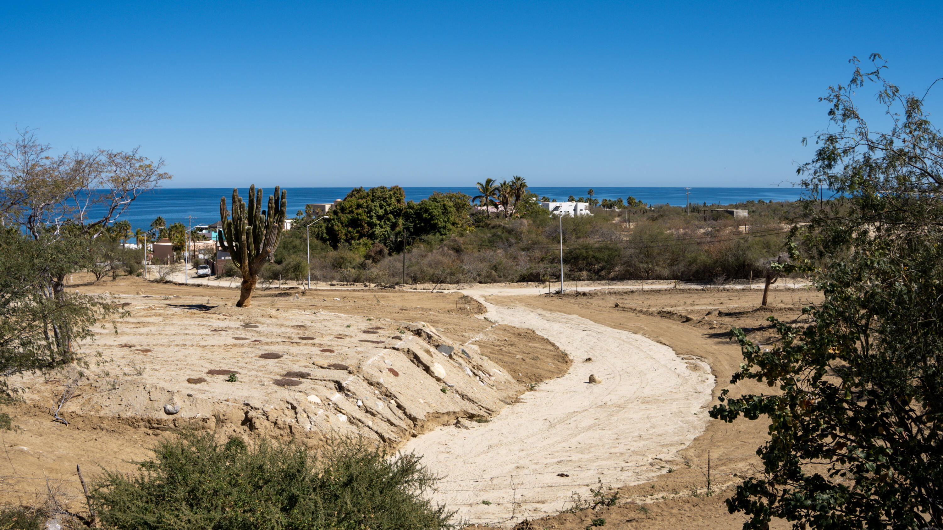 MLS #25-923 image #6