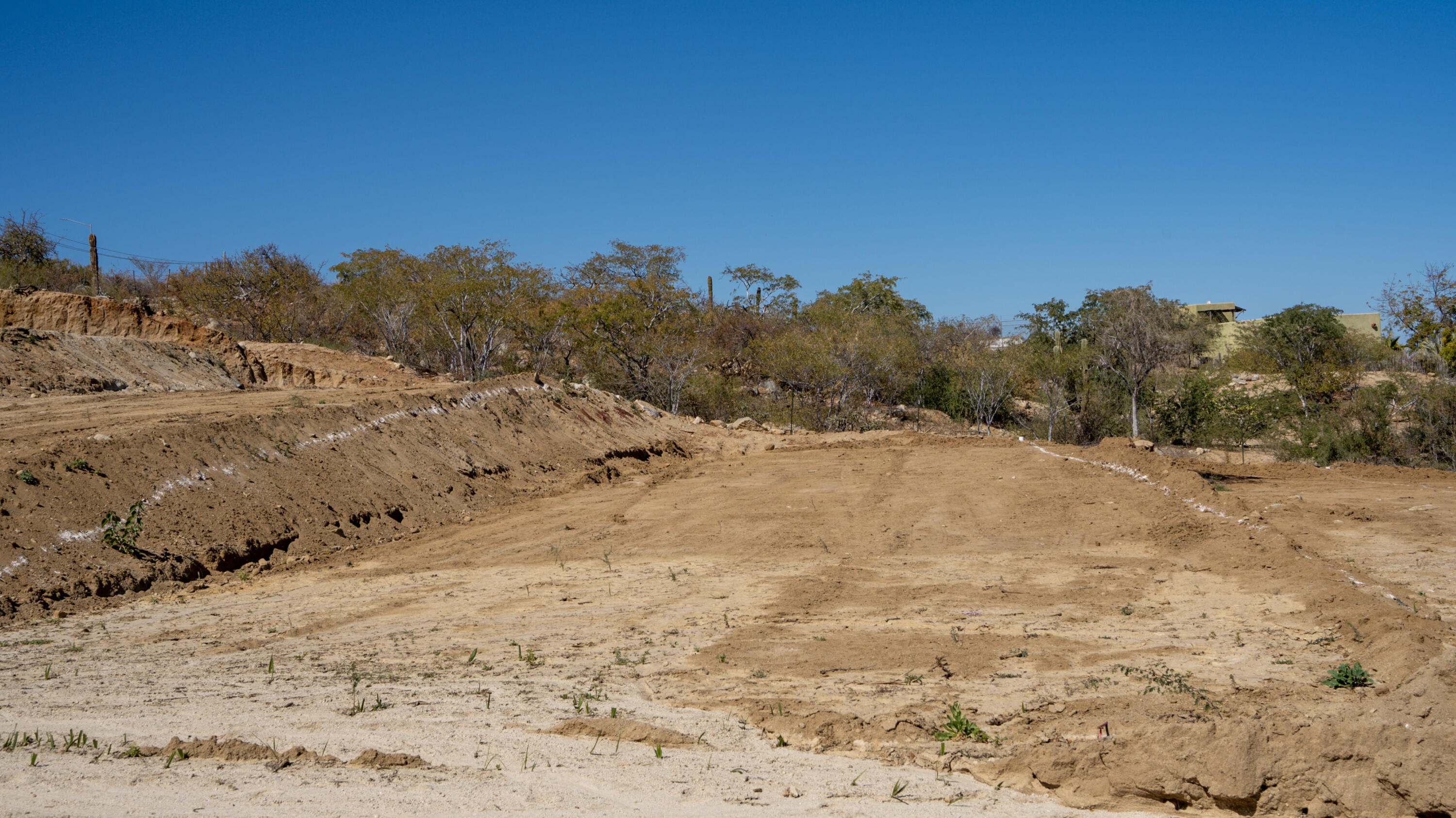 MLS #25-925 image #0