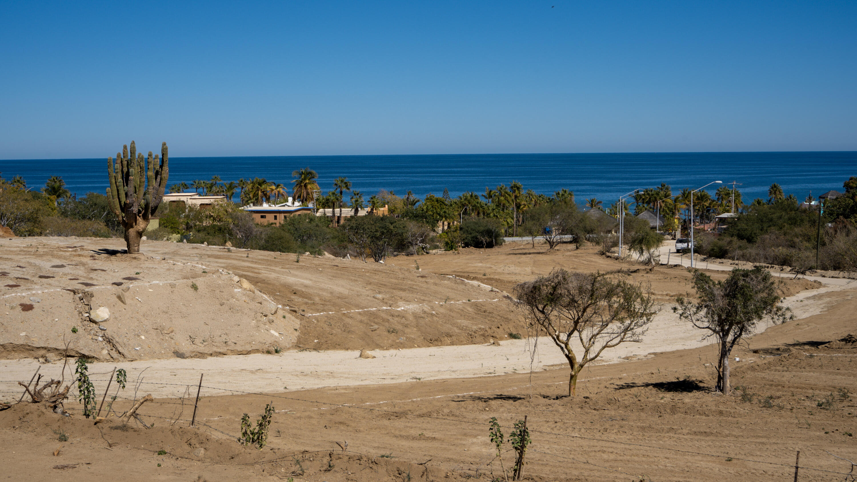 MLS #25-925 image #1