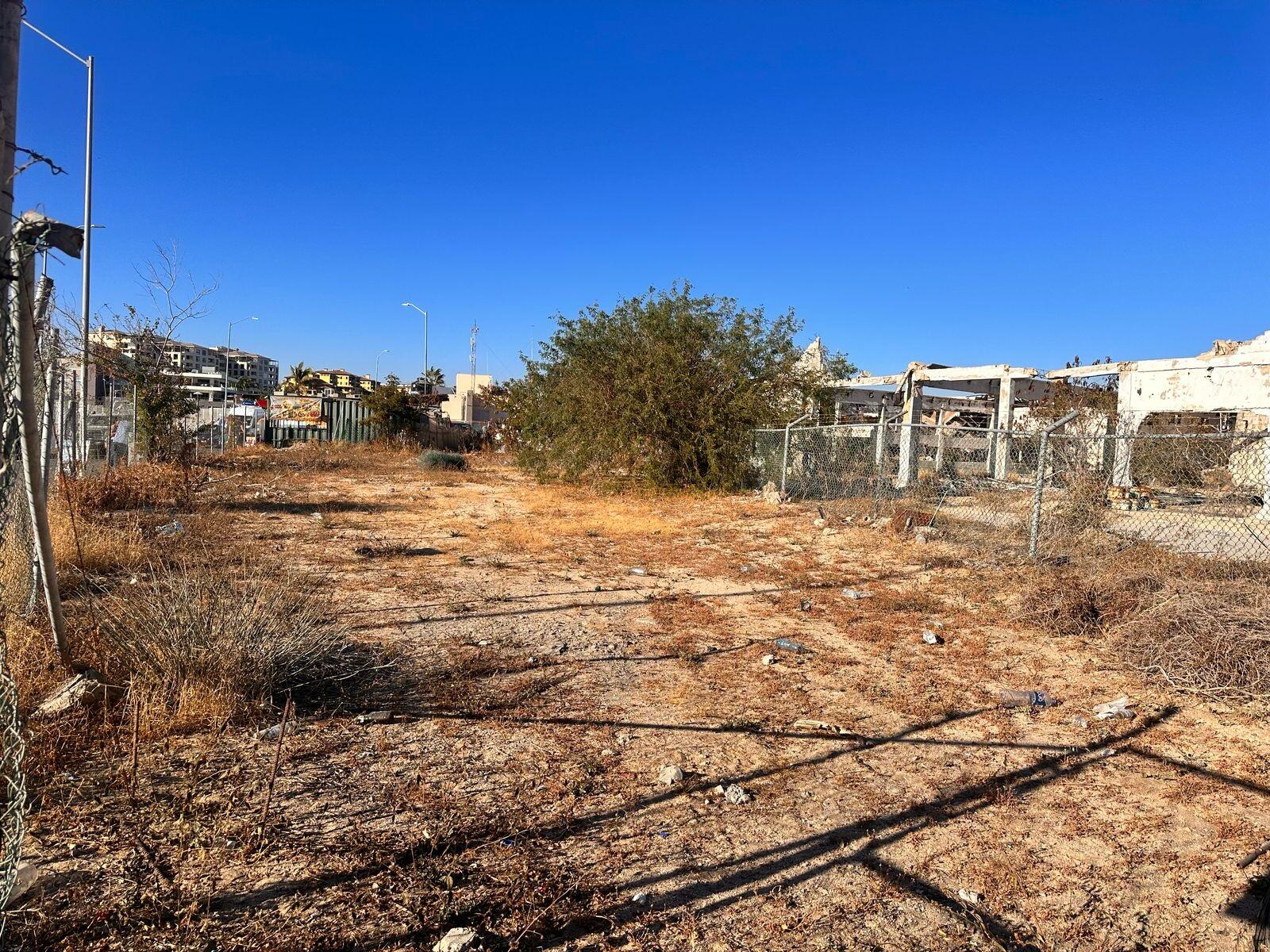 MLS #25-928 image #8