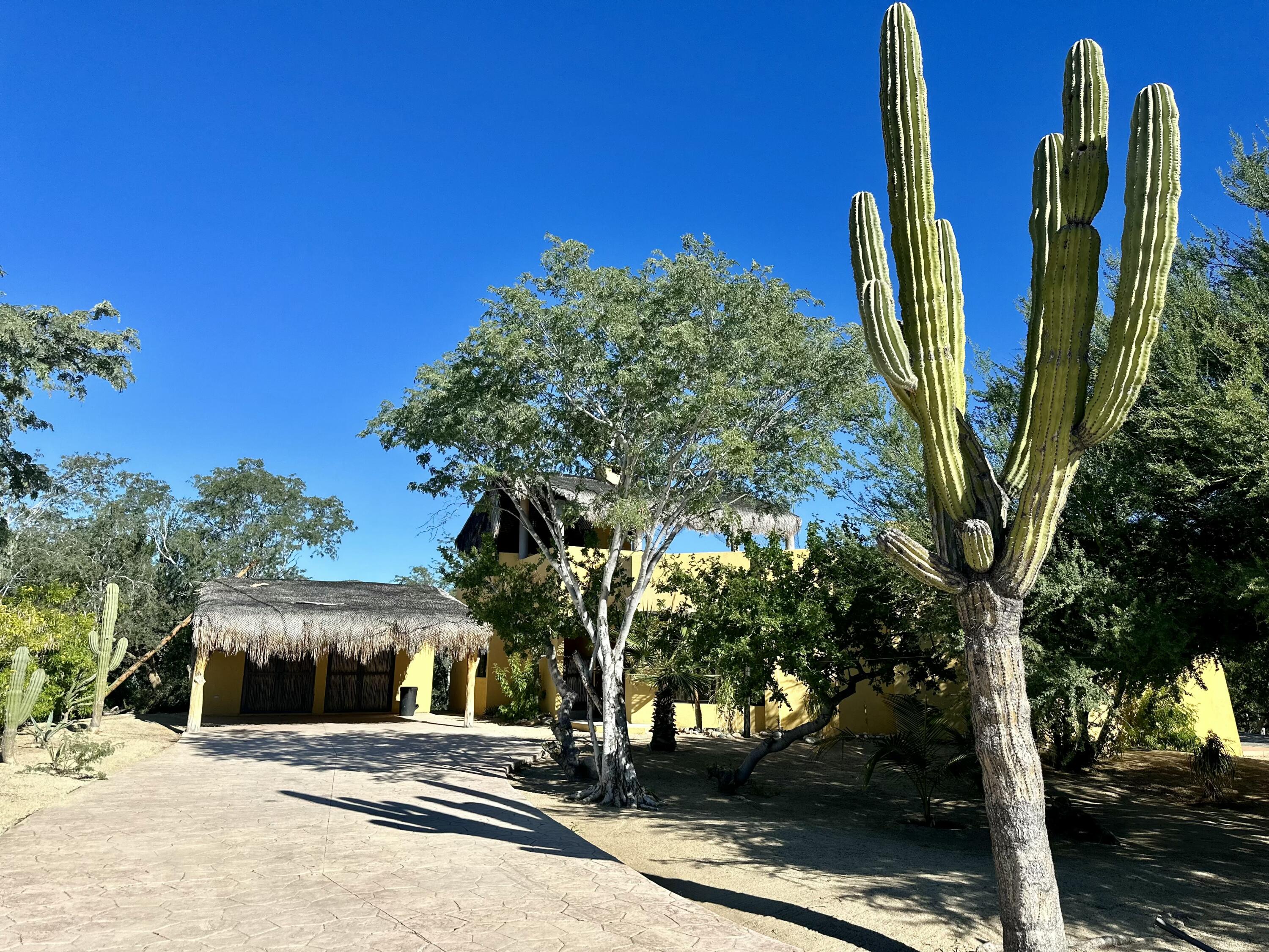 MLS #25-965 image #2