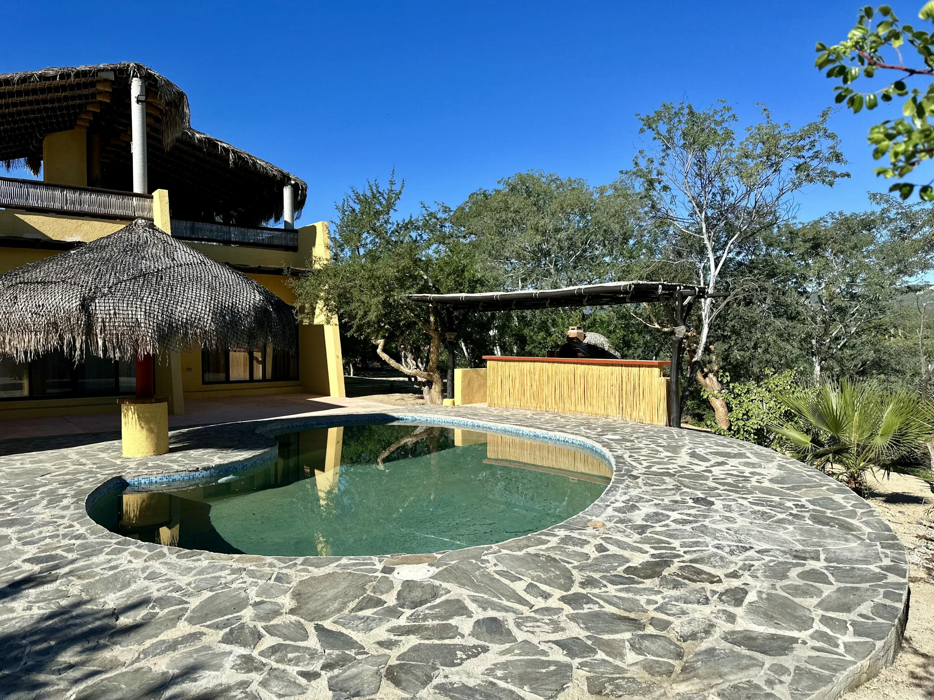 MLS #25-965 image #5