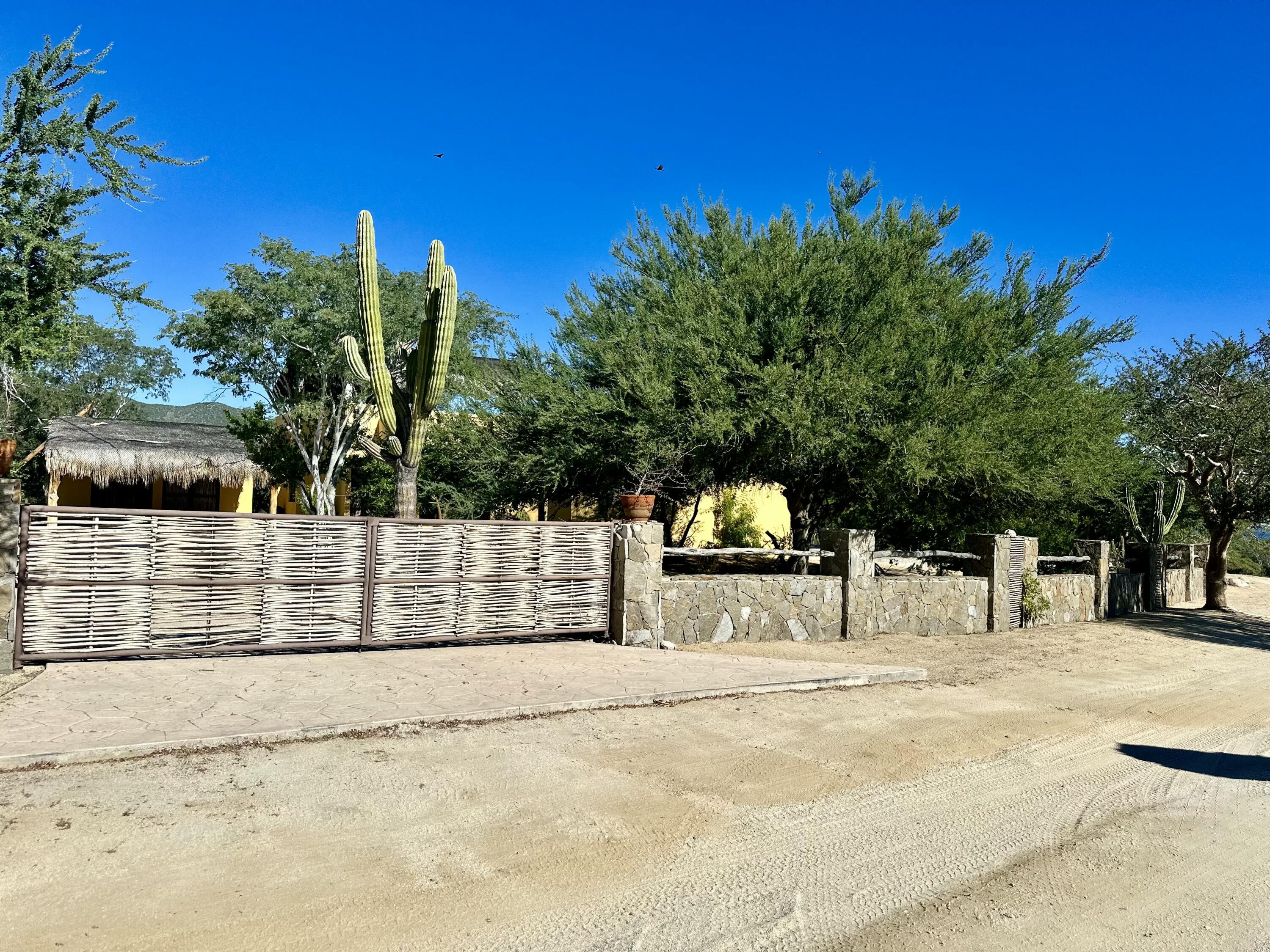 MLS #25-965 image #6