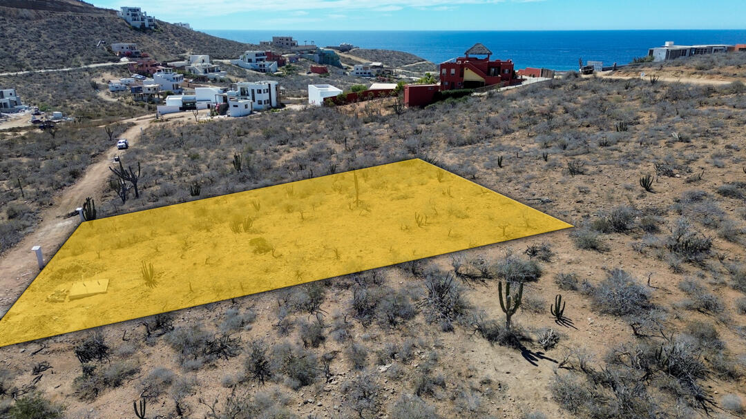 MLS #25-983 image #11