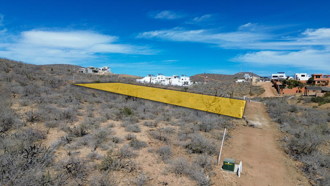 MLS #25-983 image #13