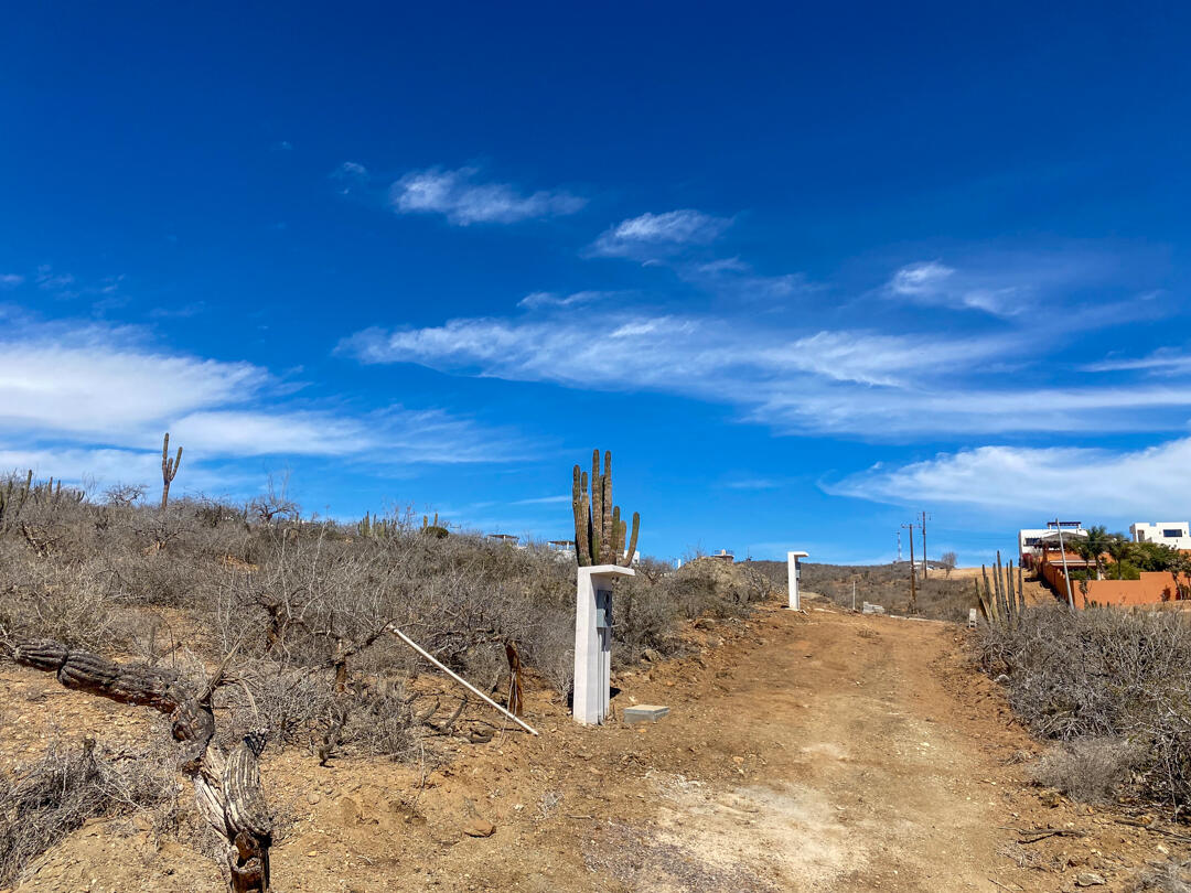 MLS #25-983 image #15