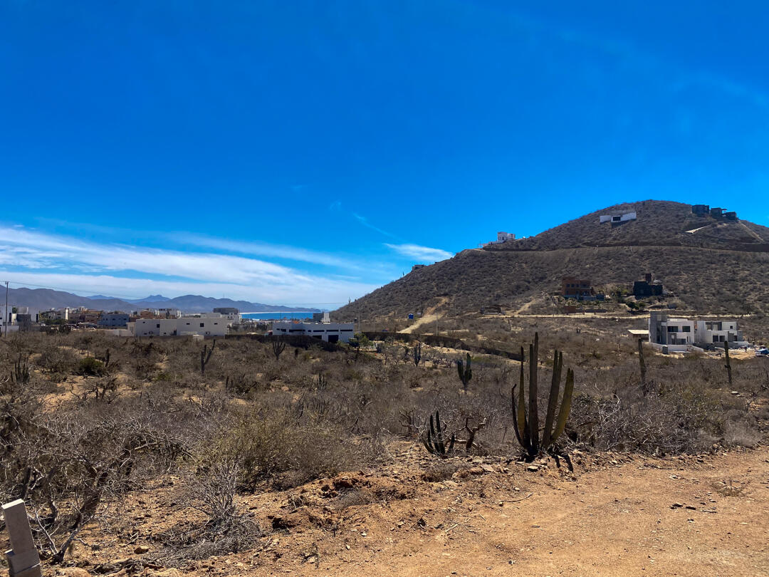 MLS #25-983 image #16