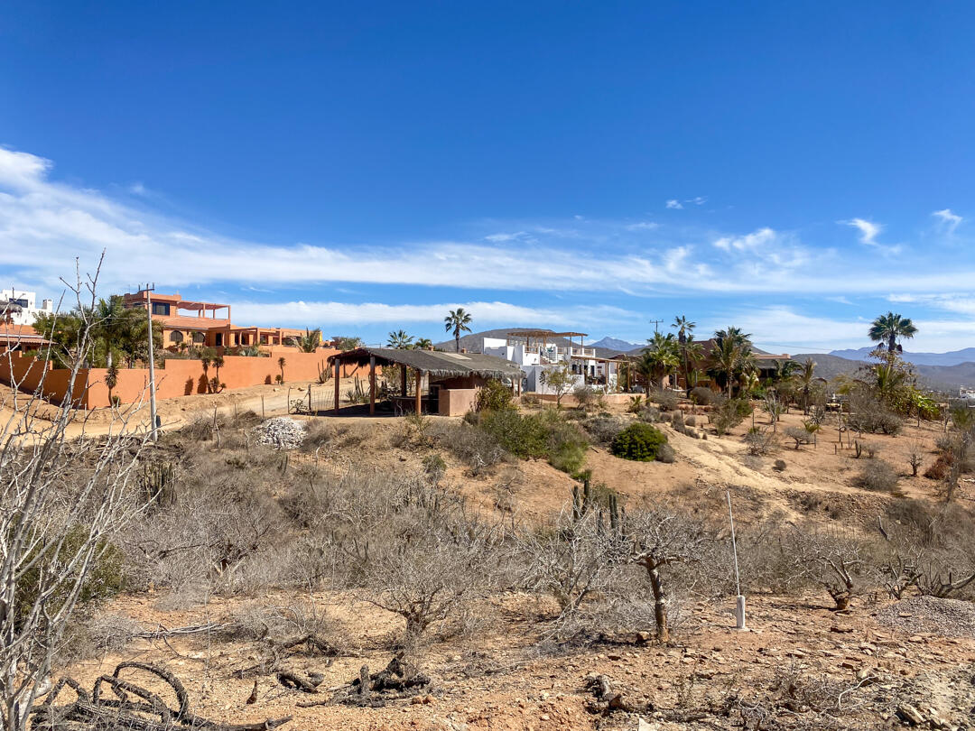 MLS #25-983 image #18