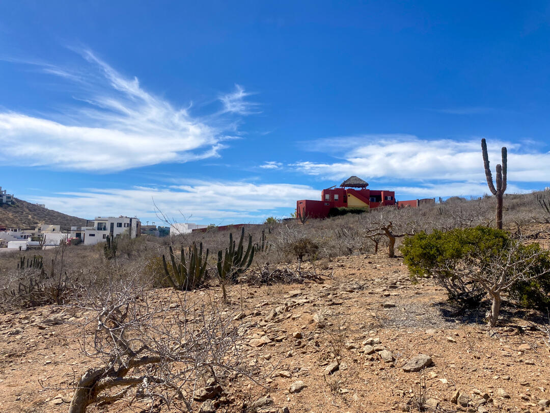 MLS #25-983 image #19