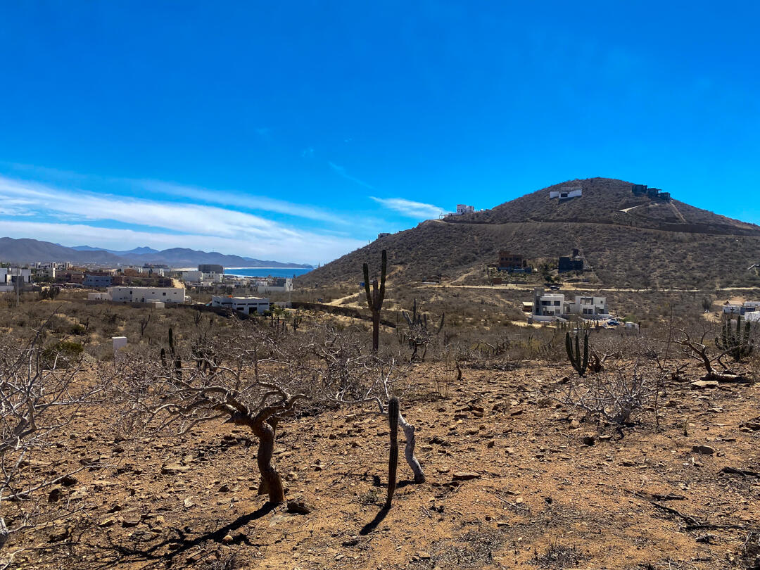 MLS #25-983 image #20