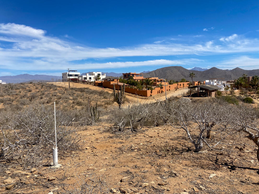 MLS #25-983 image #21