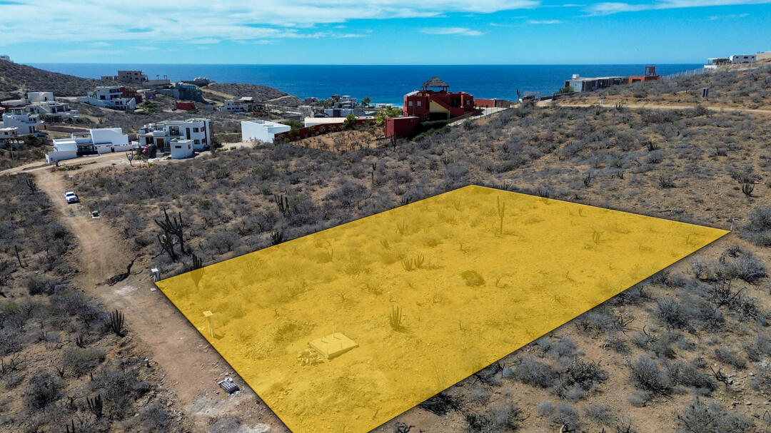 MLS #25-983 image #3