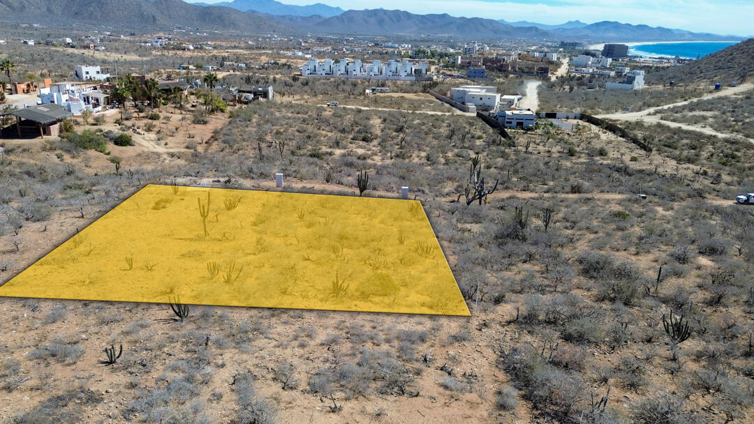 MLS #25-983 image #5