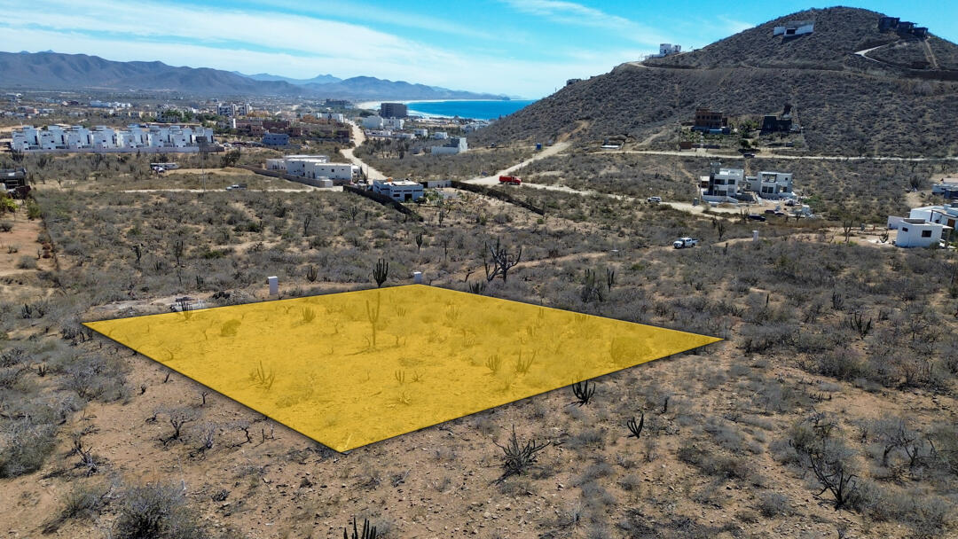 MLS #25-983 image #7