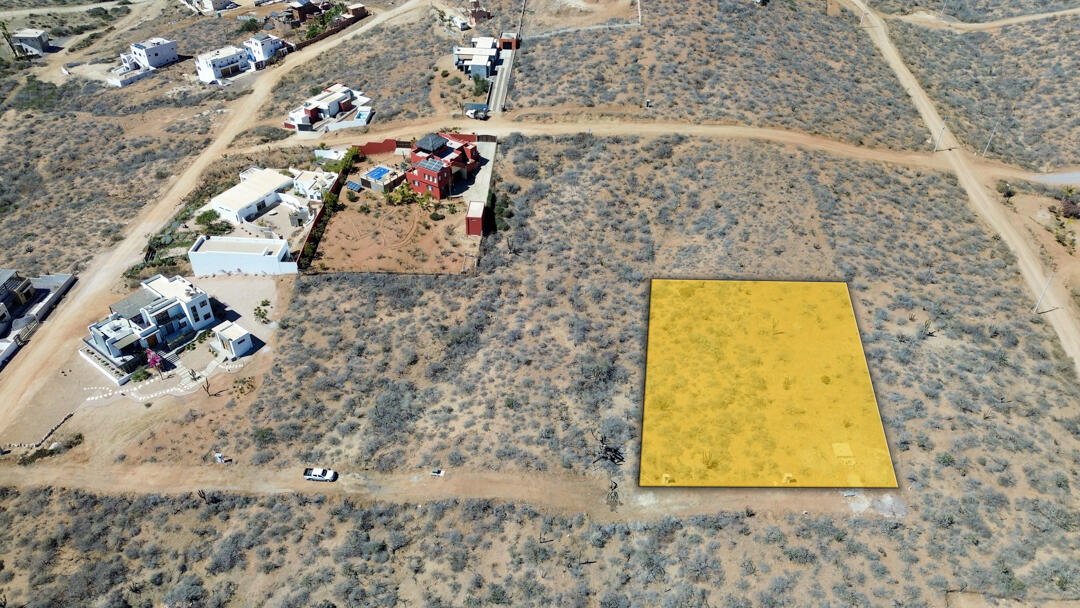 MLS #25-983 image #8