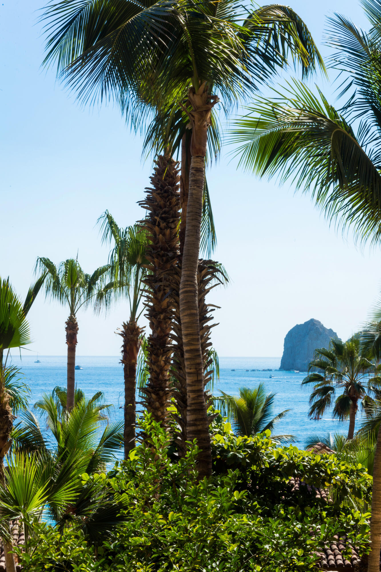 MLS #25-4171 image #26