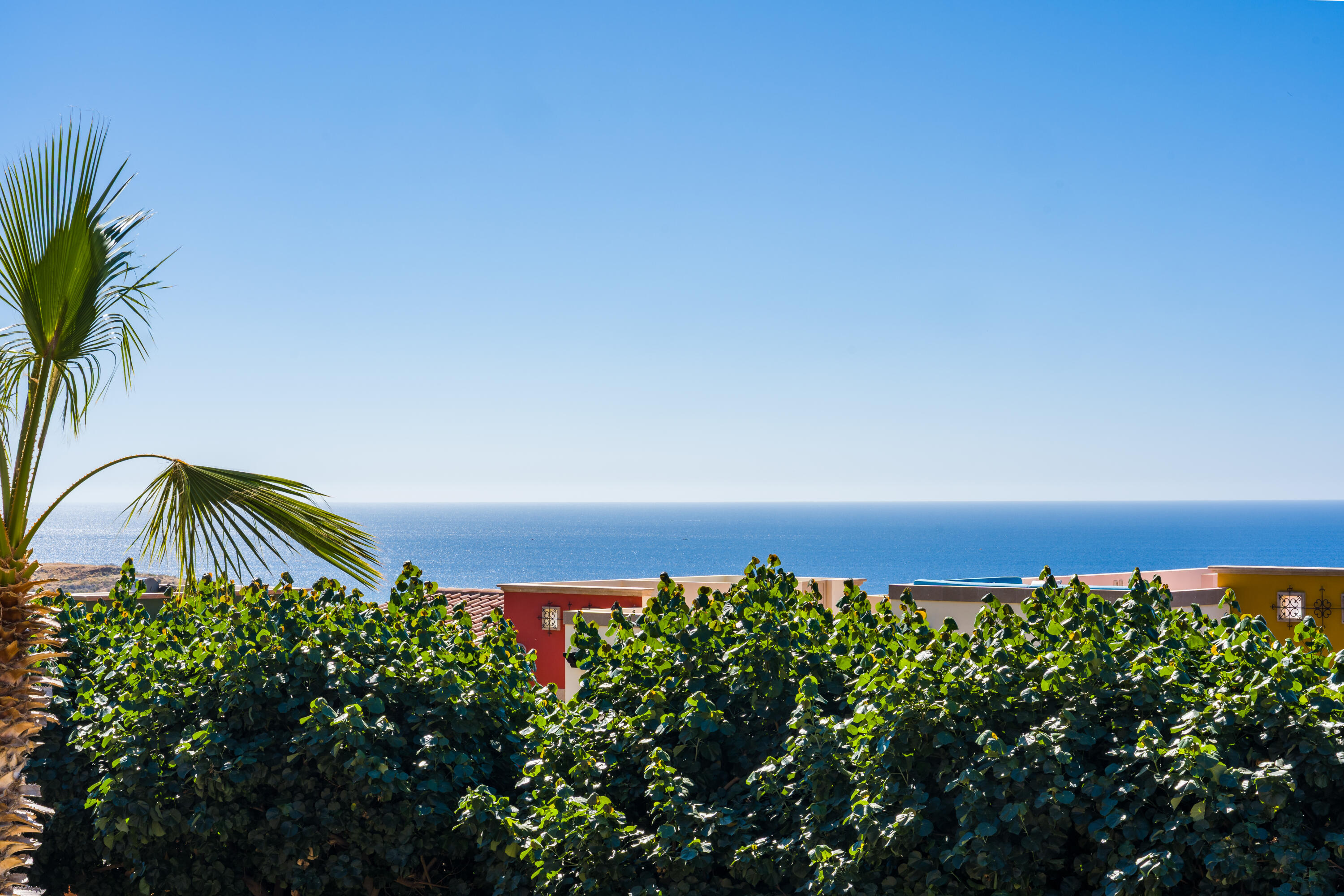 MLS #26-787 image #1