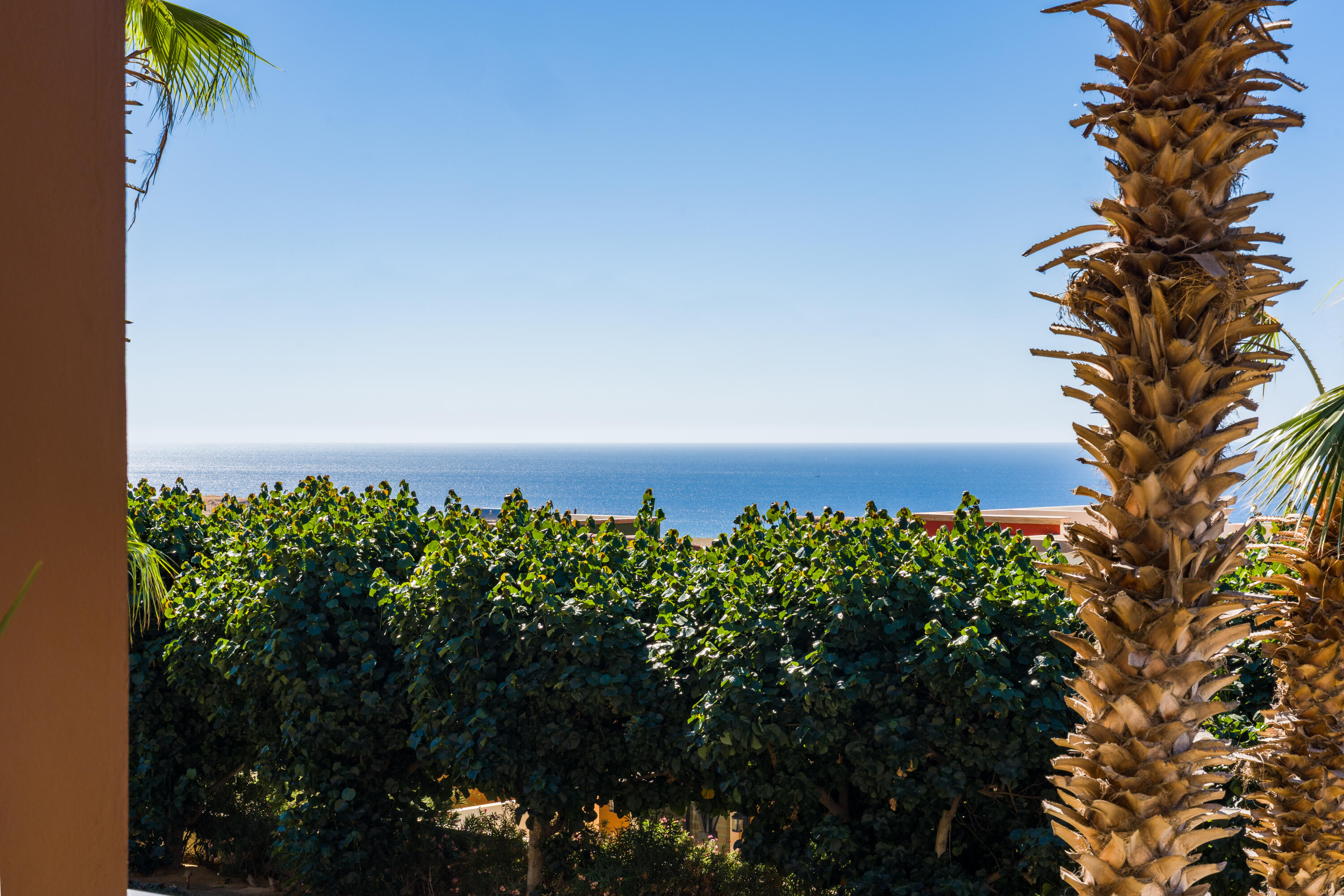 MLS #26-787 image #24