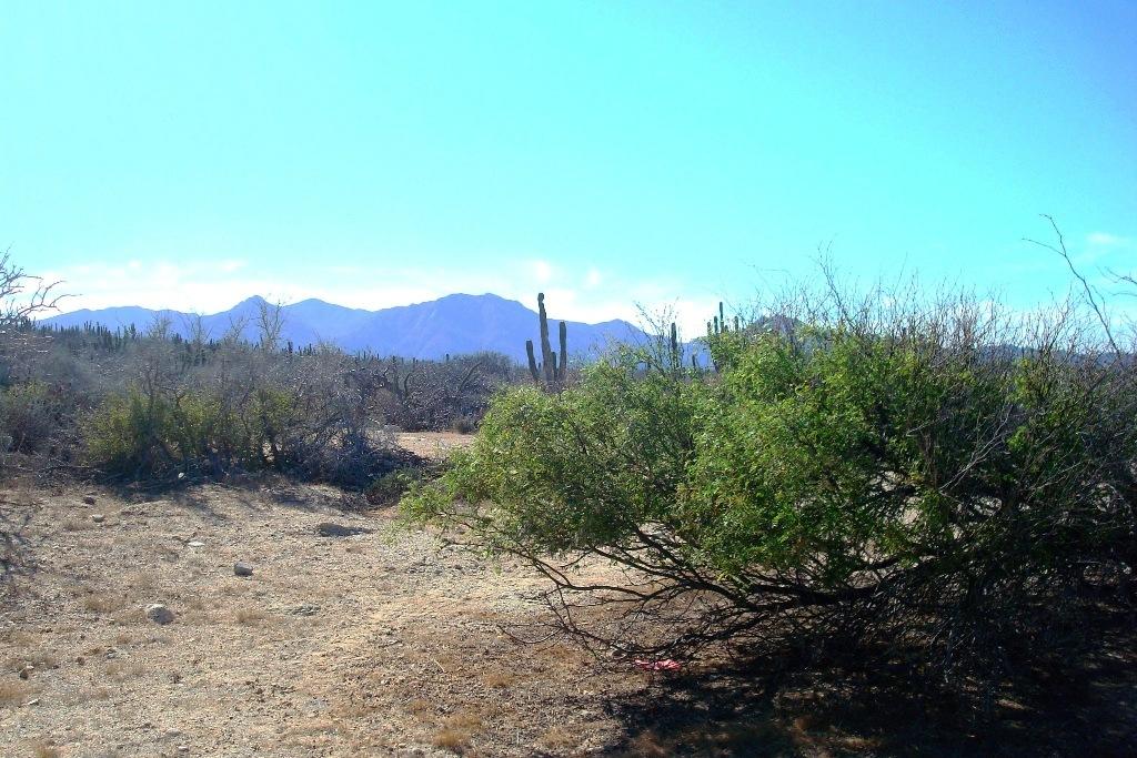 MLS #26-85 image #11