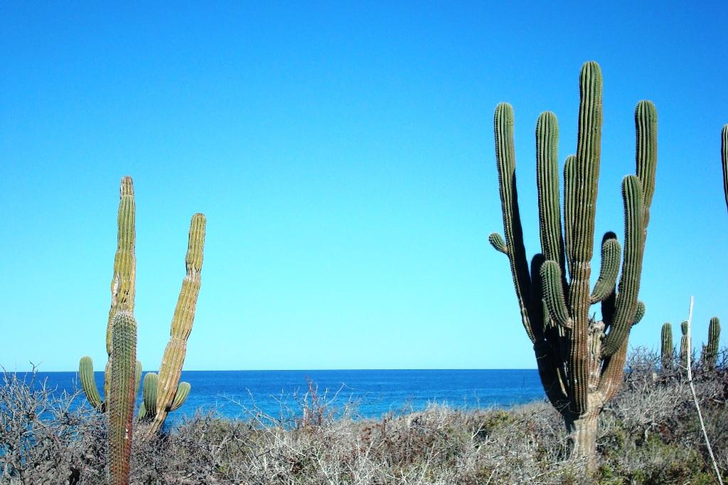 MLS #26-85 image #12