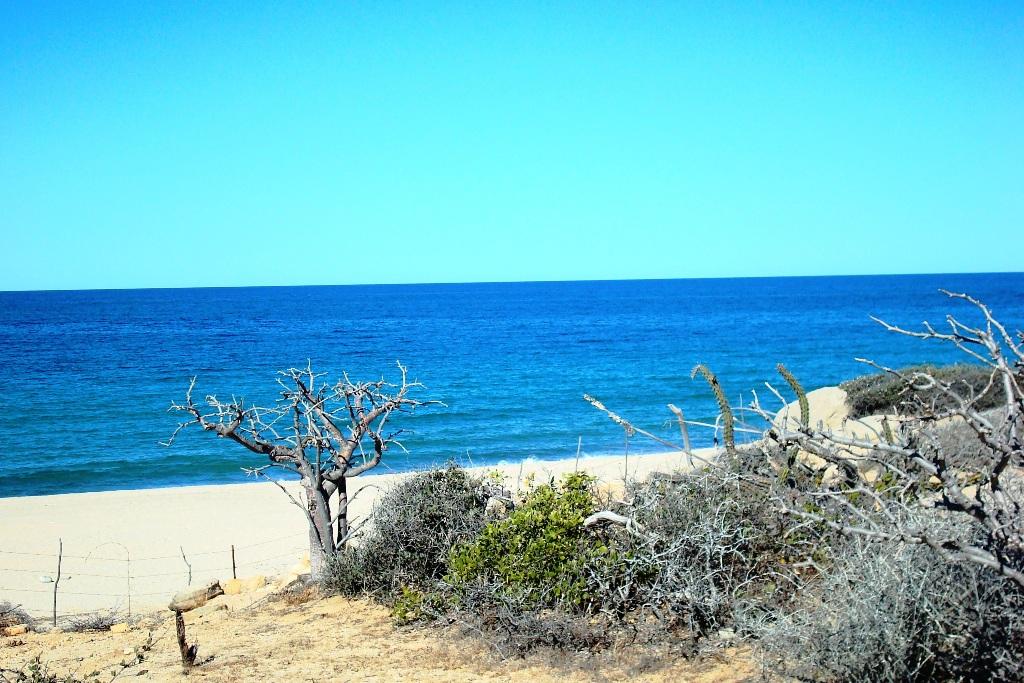 MLS #26-85 image #13