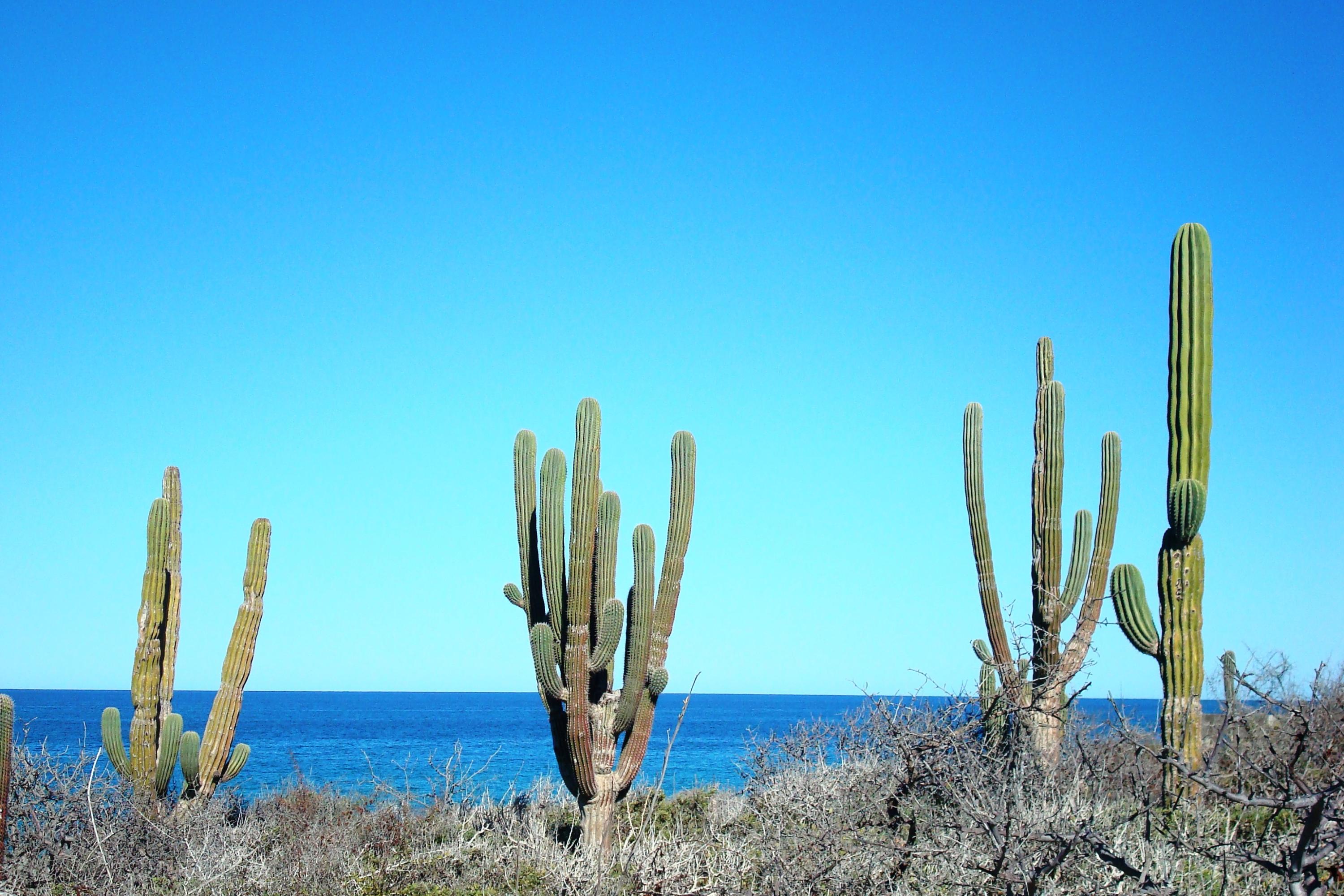 MLS #26-85 image #14