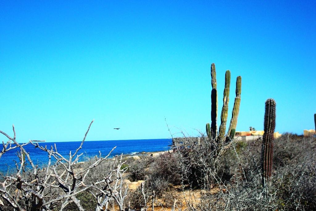 MLS #26-85 image #15