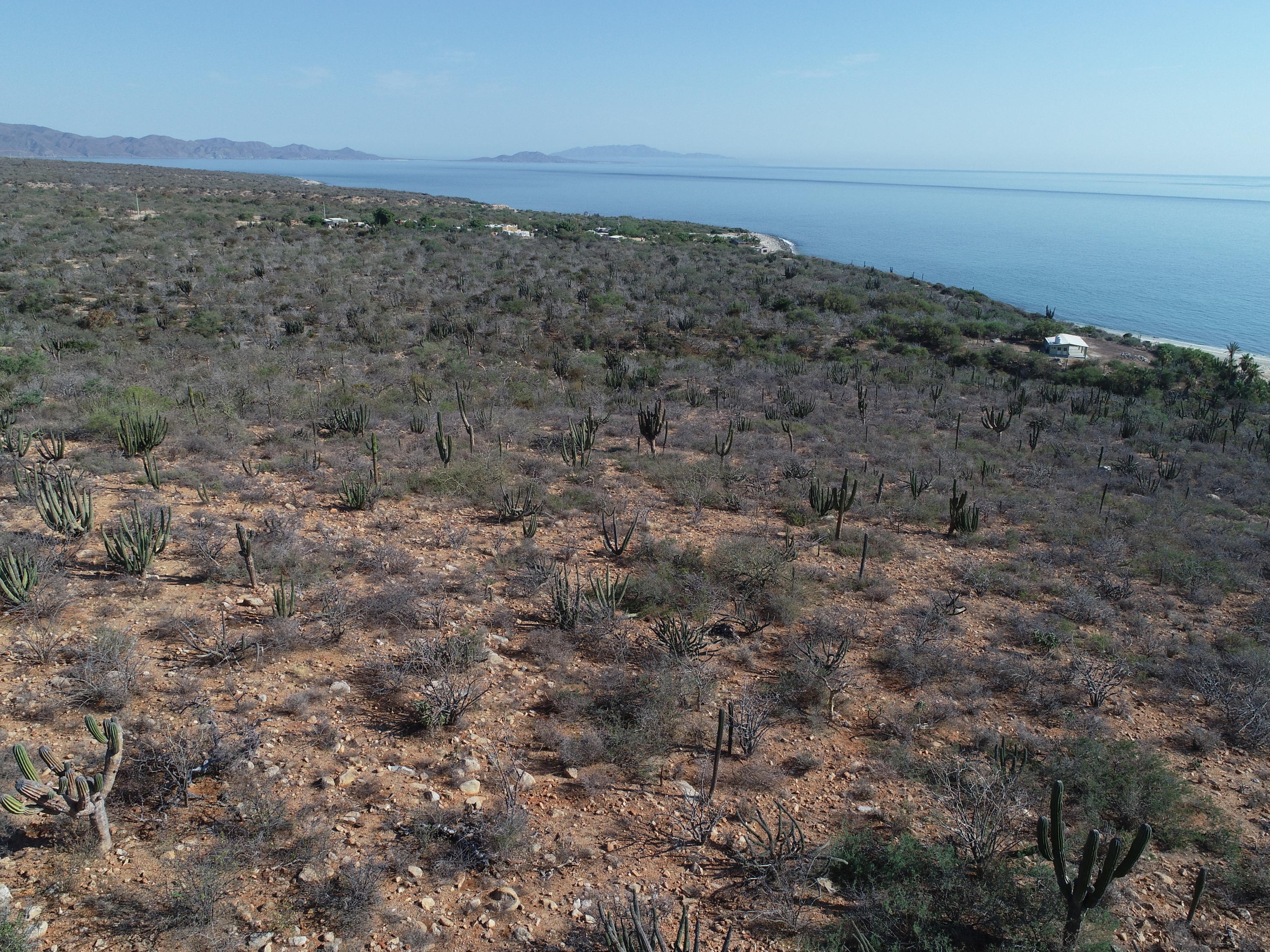 MLS #26-85 image #16