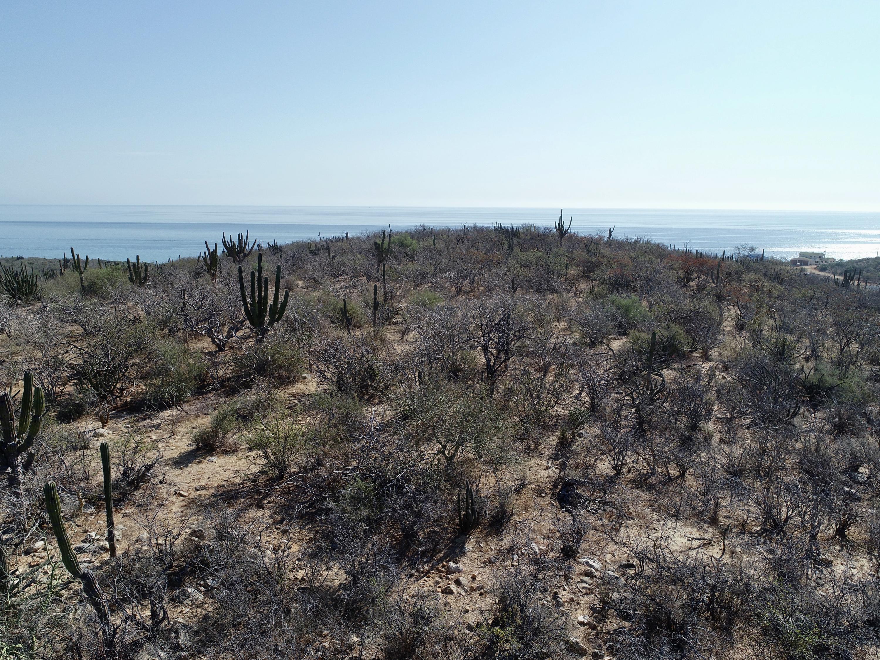 MLS #26-85 image #21