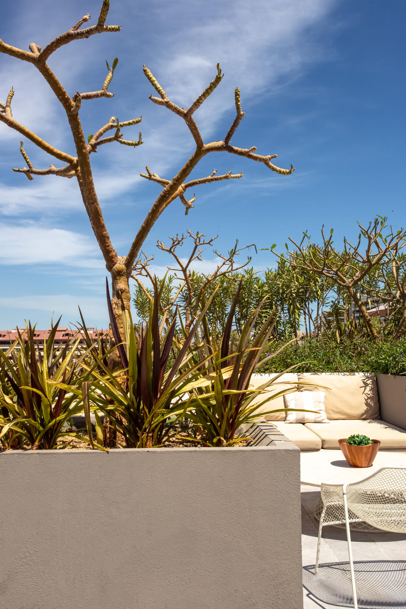 MLS #26-938 image #5