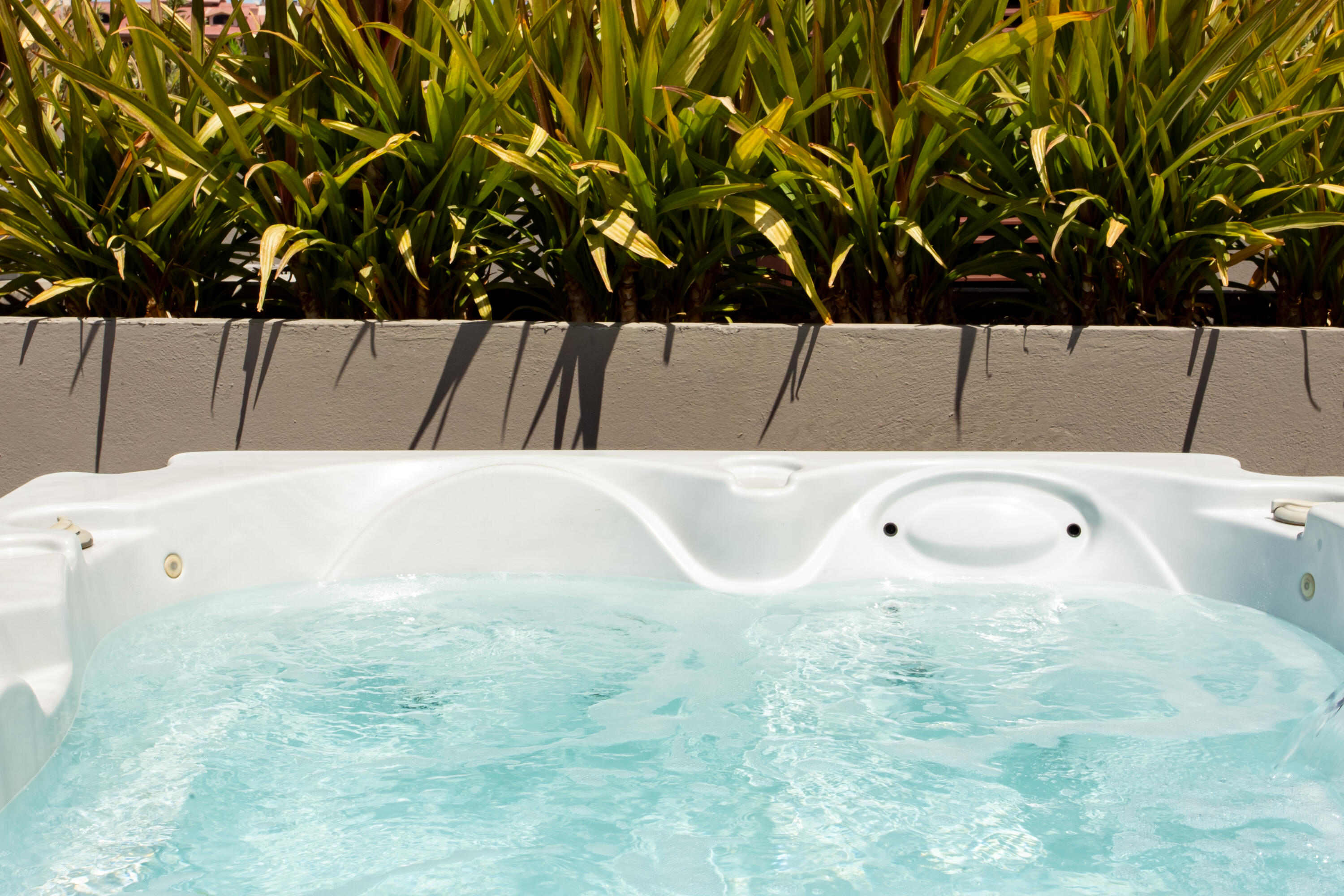 MLS #26-938 image #8